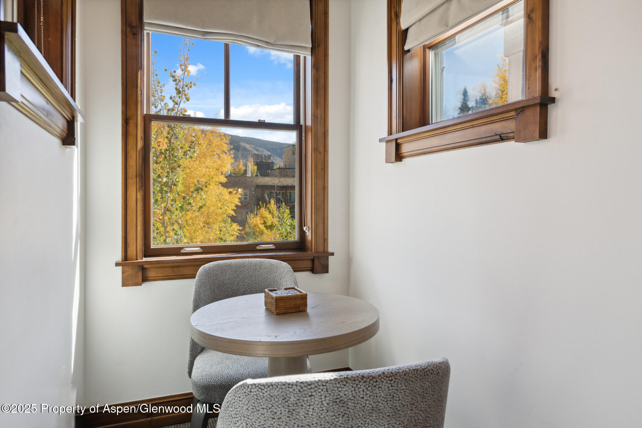 415 E Dean St, #47, Weeks 51/52 Aspen CO 81611