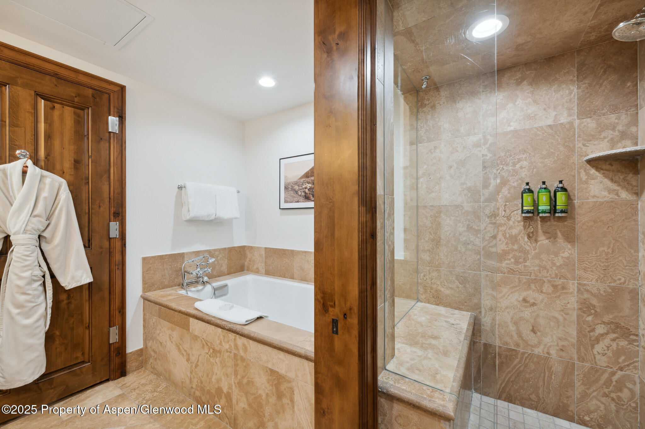 415 E Dean St, #47, Weeks 51/52 Aspen CO 81611