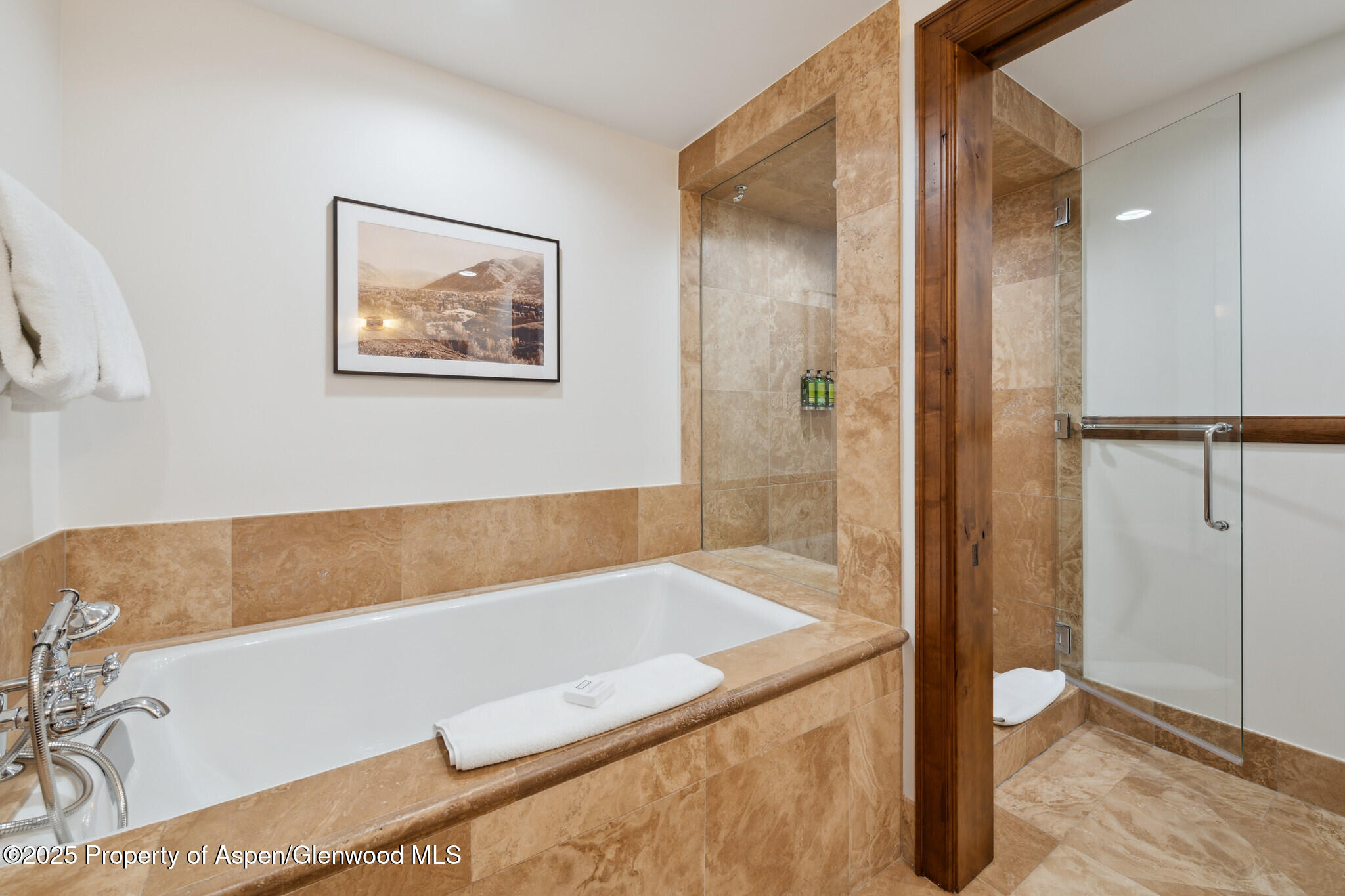 415 E Dean St, #47, Weeks 51/52 Aspen CO 81611
