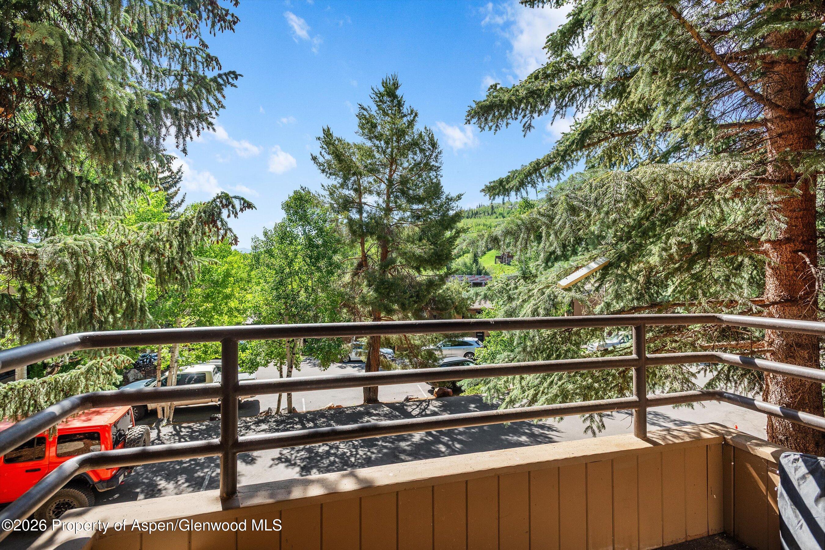 35 Lower Woodbridge Road Snowmass Village CO 81615