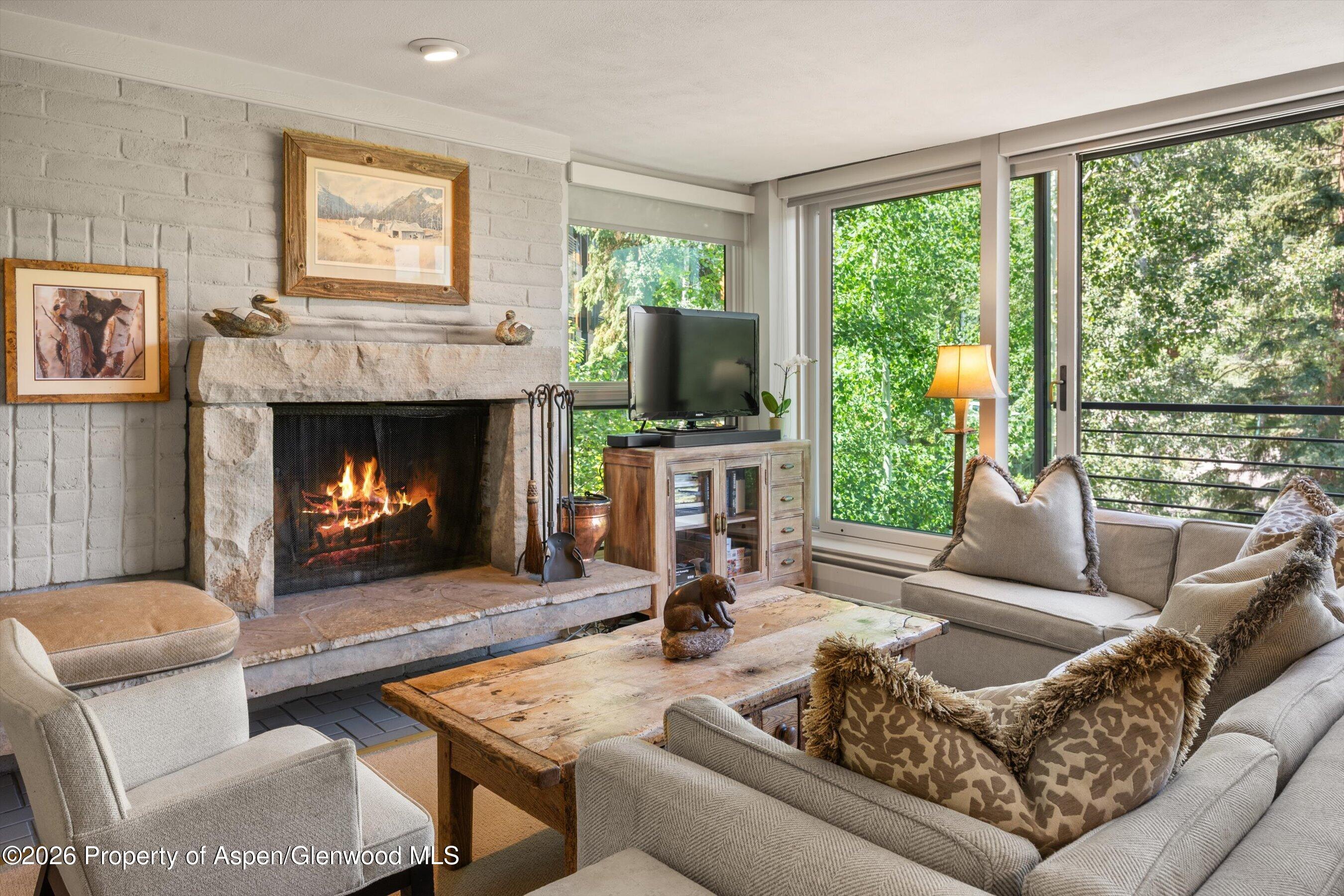 728 S Galena Street Aspen CO 81611