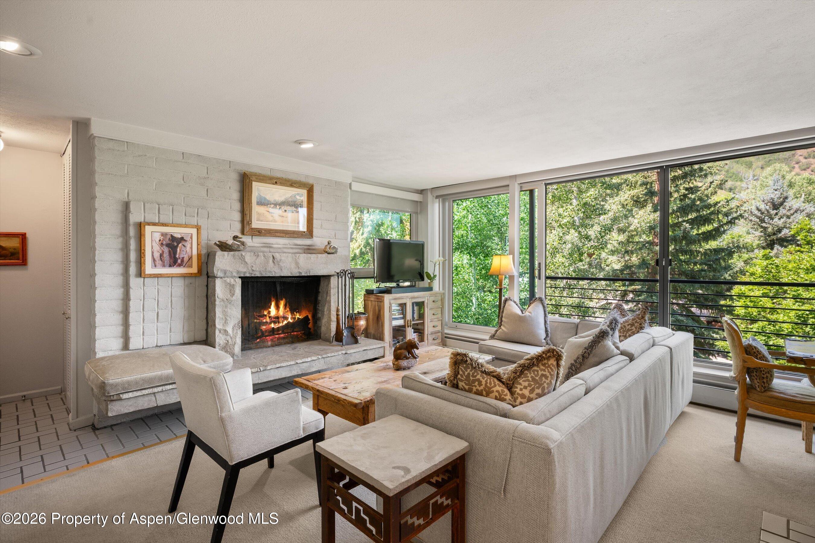 728 S Galena Street Aspen CO 81611