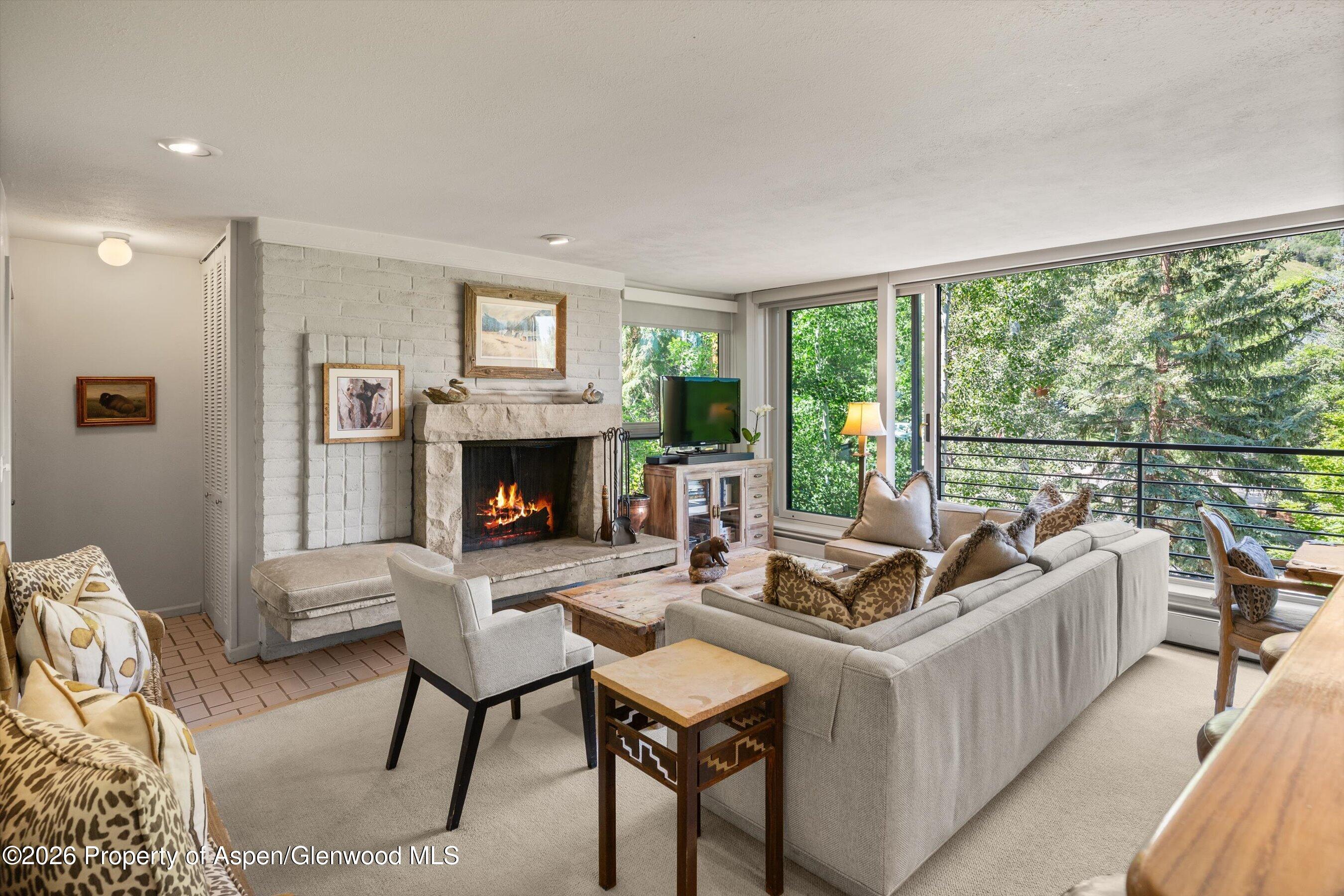 728 S Galena Street Aspen CO 81611