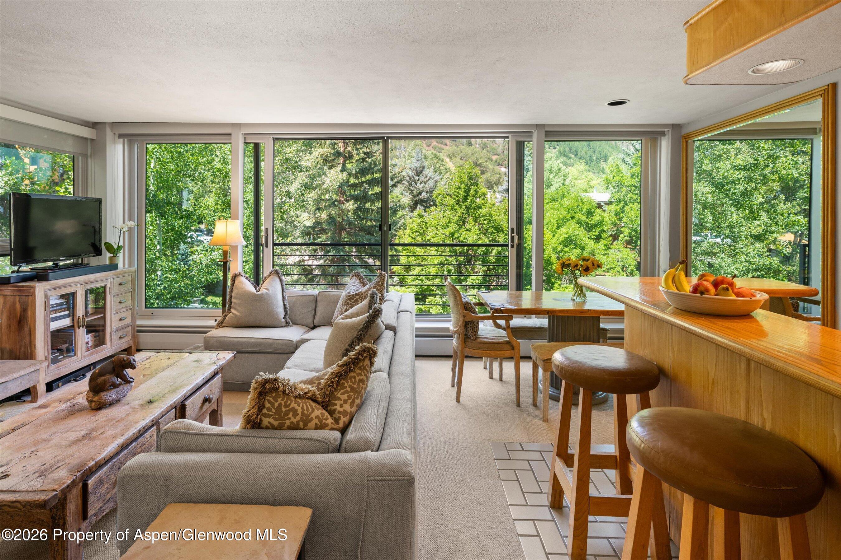 728 S Galena Street Aspen CO 81611