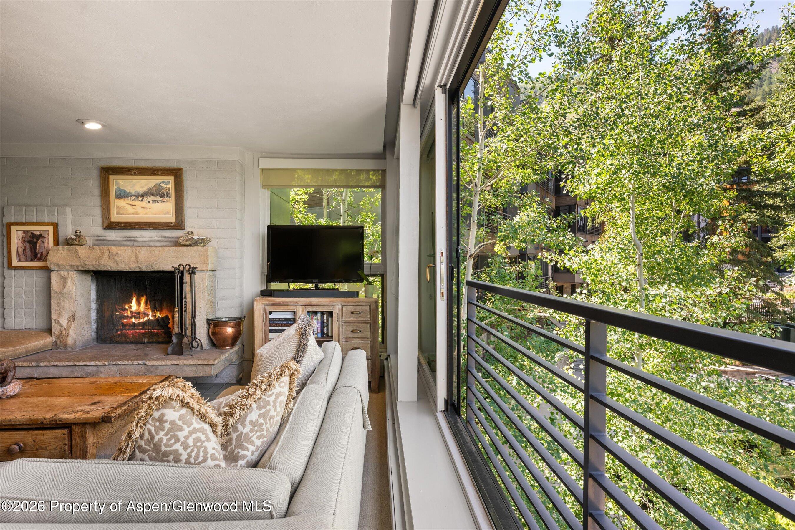 728 S Galena Street Aspen CO 81611