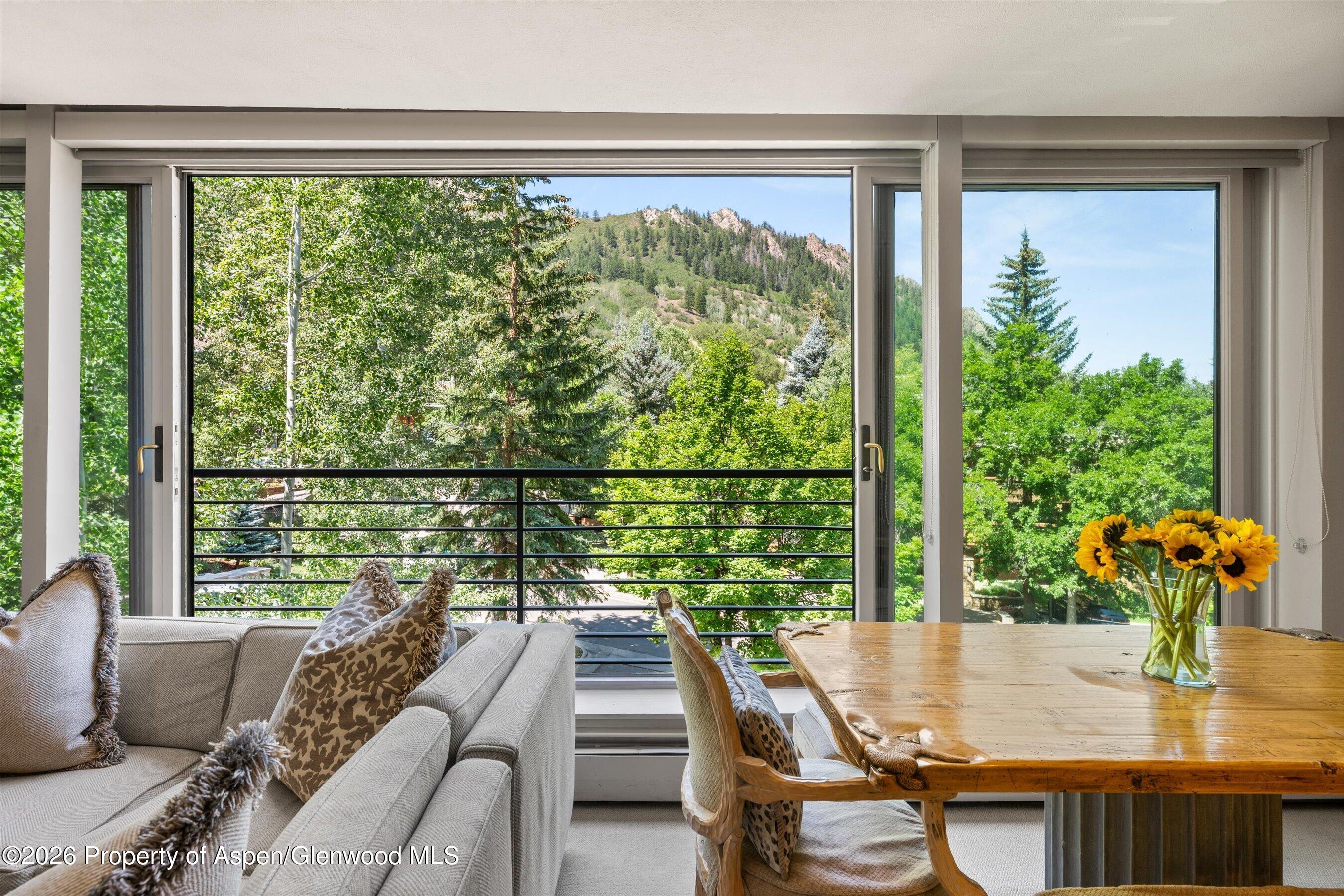 728 S Galena Street Aspen CO 81611