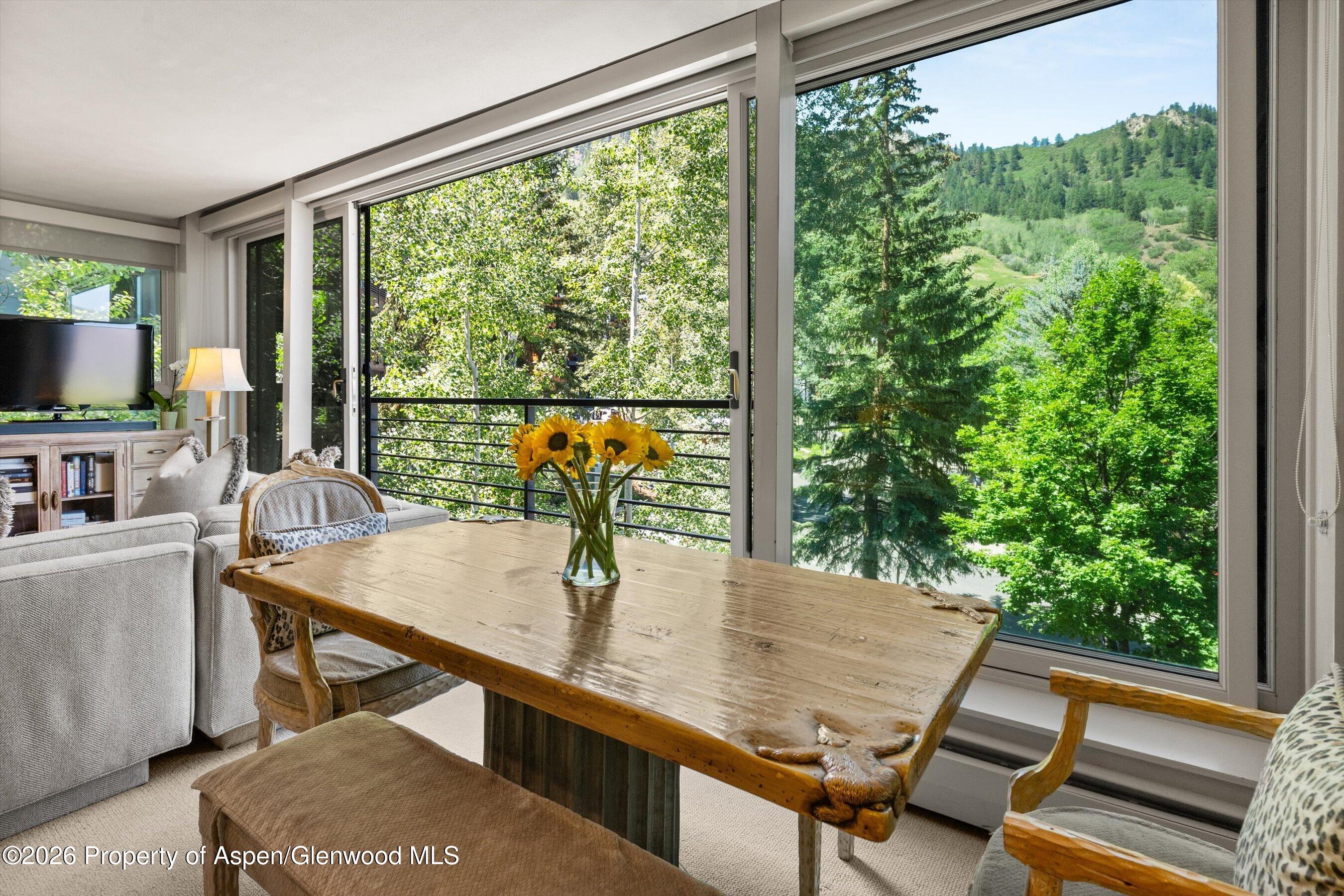 728 S Galena Street Aspen CO 81611