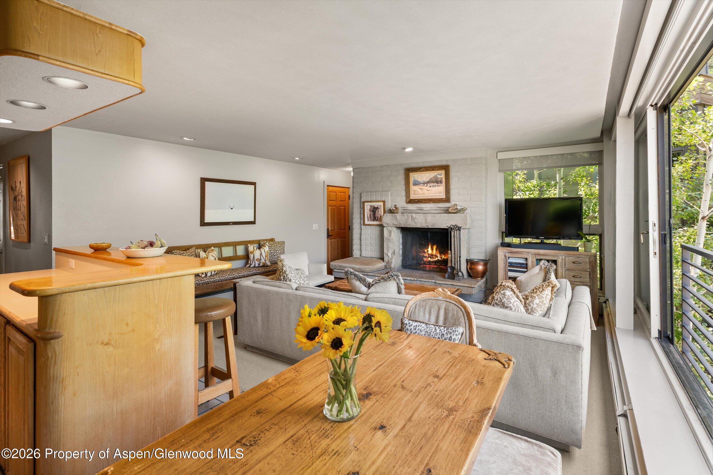 728 S Galena Street Aspen CO 81611