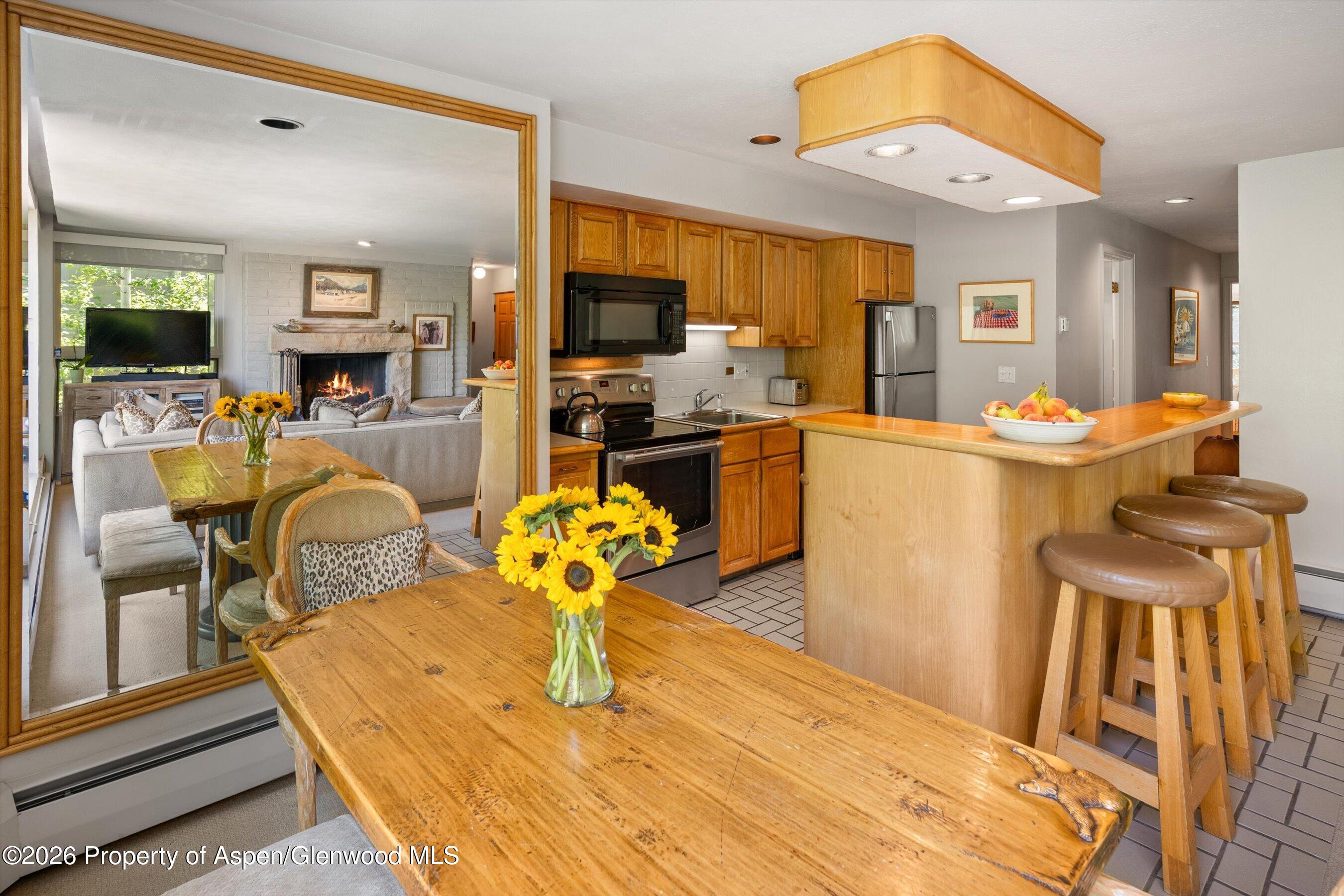 728 S Galena Street Aspen CO 81611