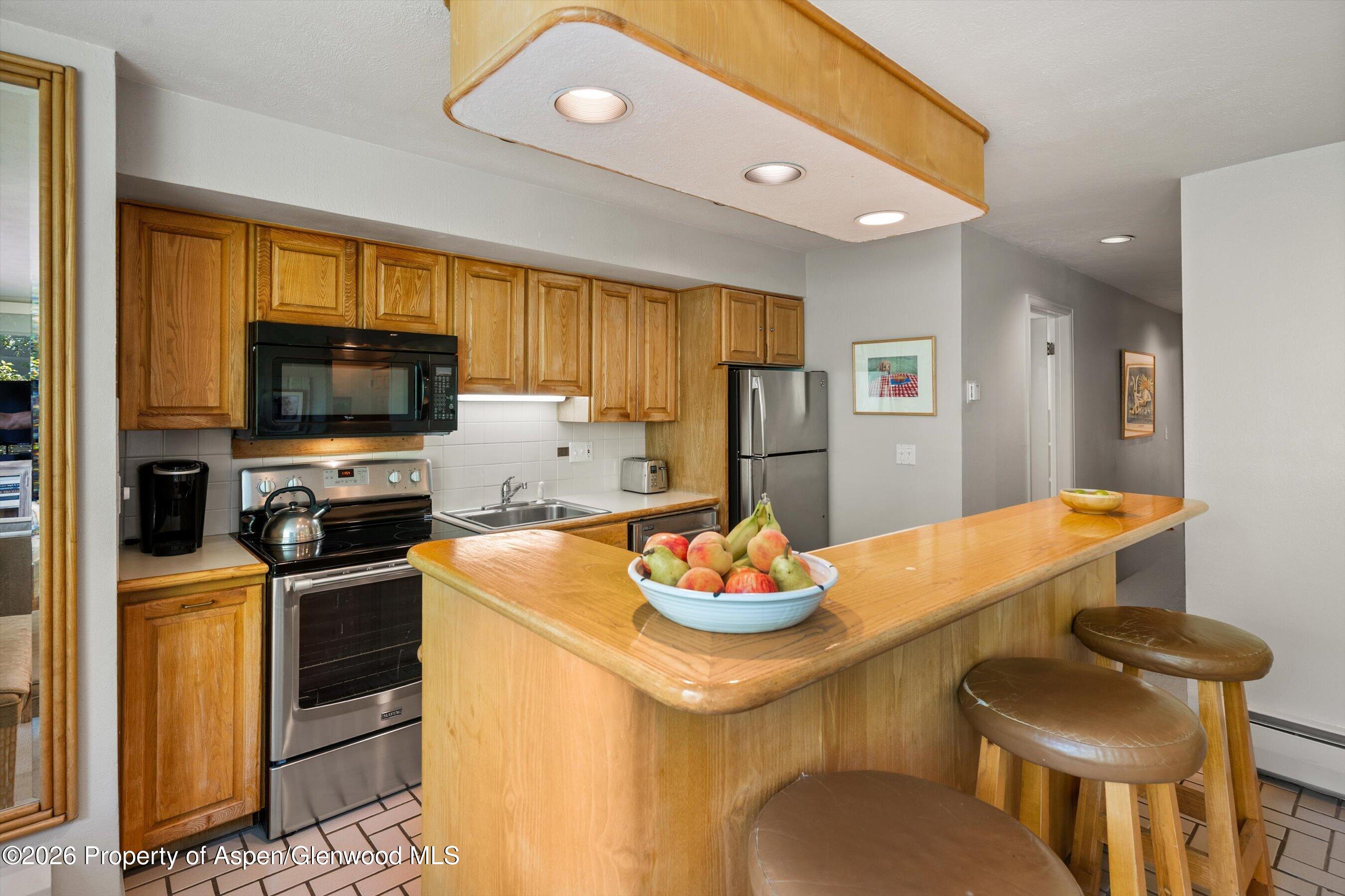 728 S Galena Street Aspen CO 81611