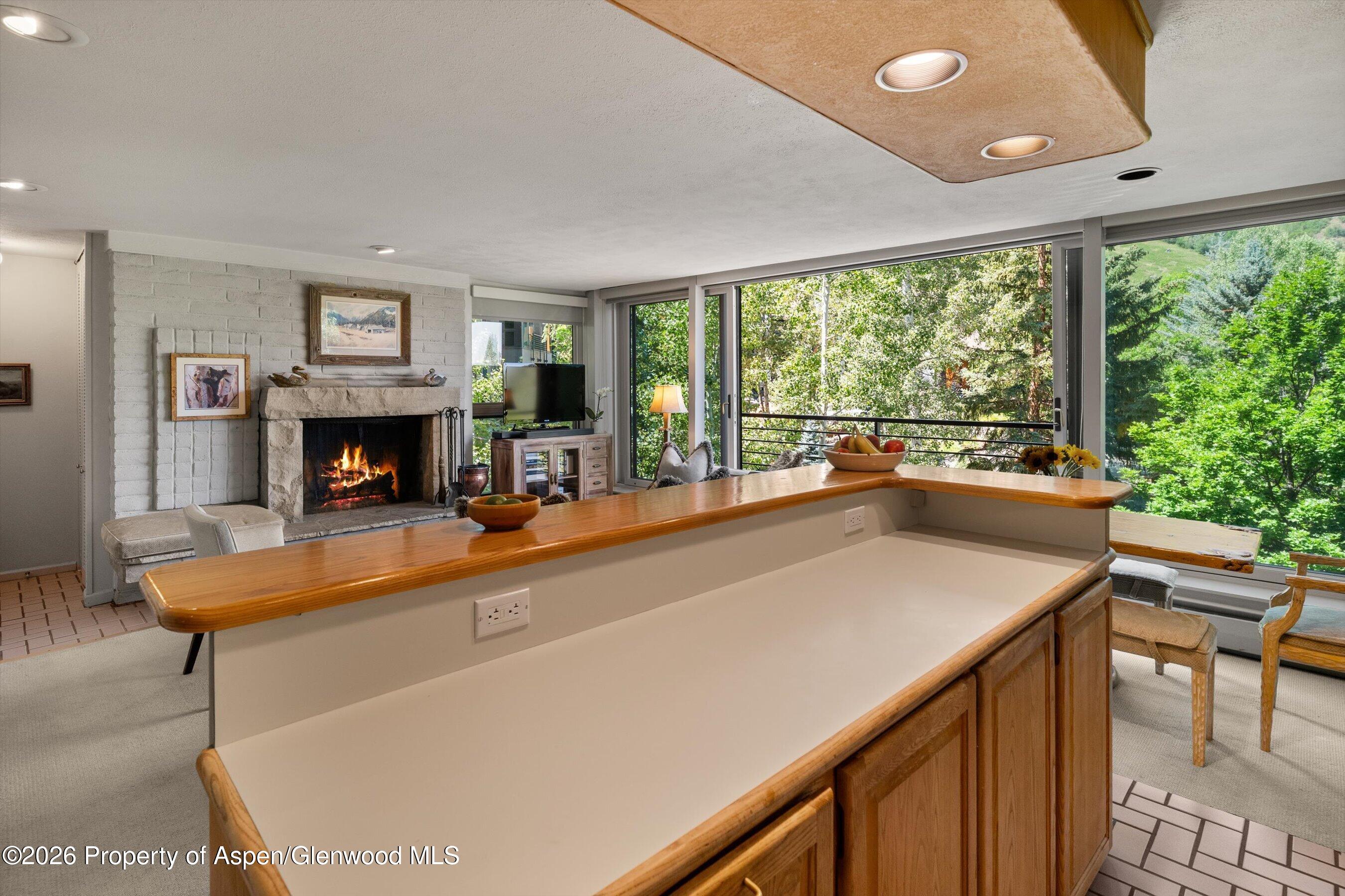 728 S Galena Street Aspen CO 81611