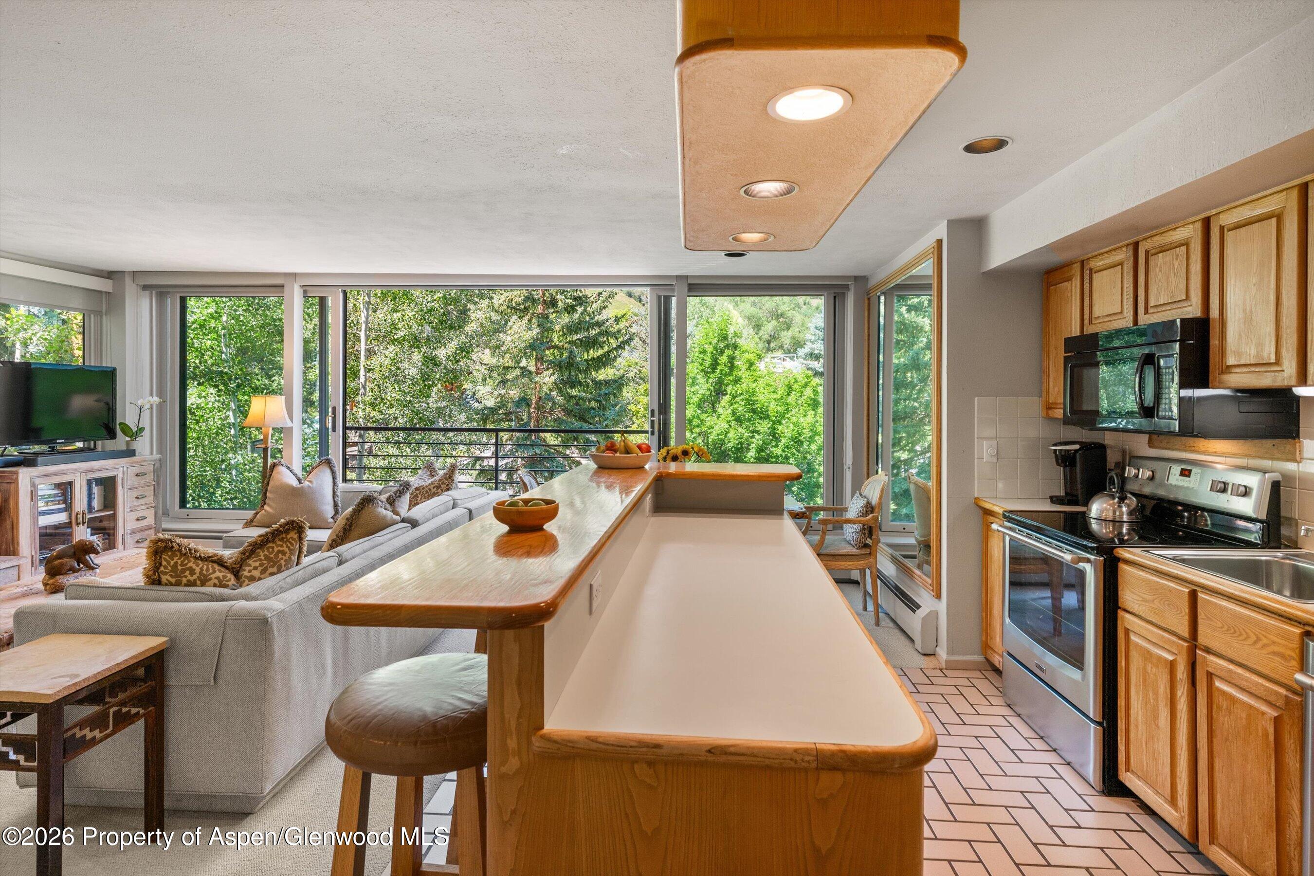 728 S Galena Street Aspen CO 81611