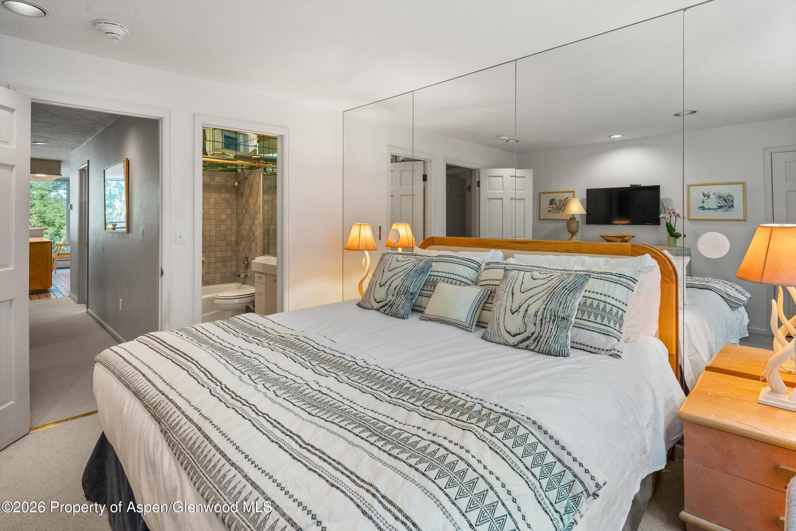 728 S Galena Street Aspen CO 81611