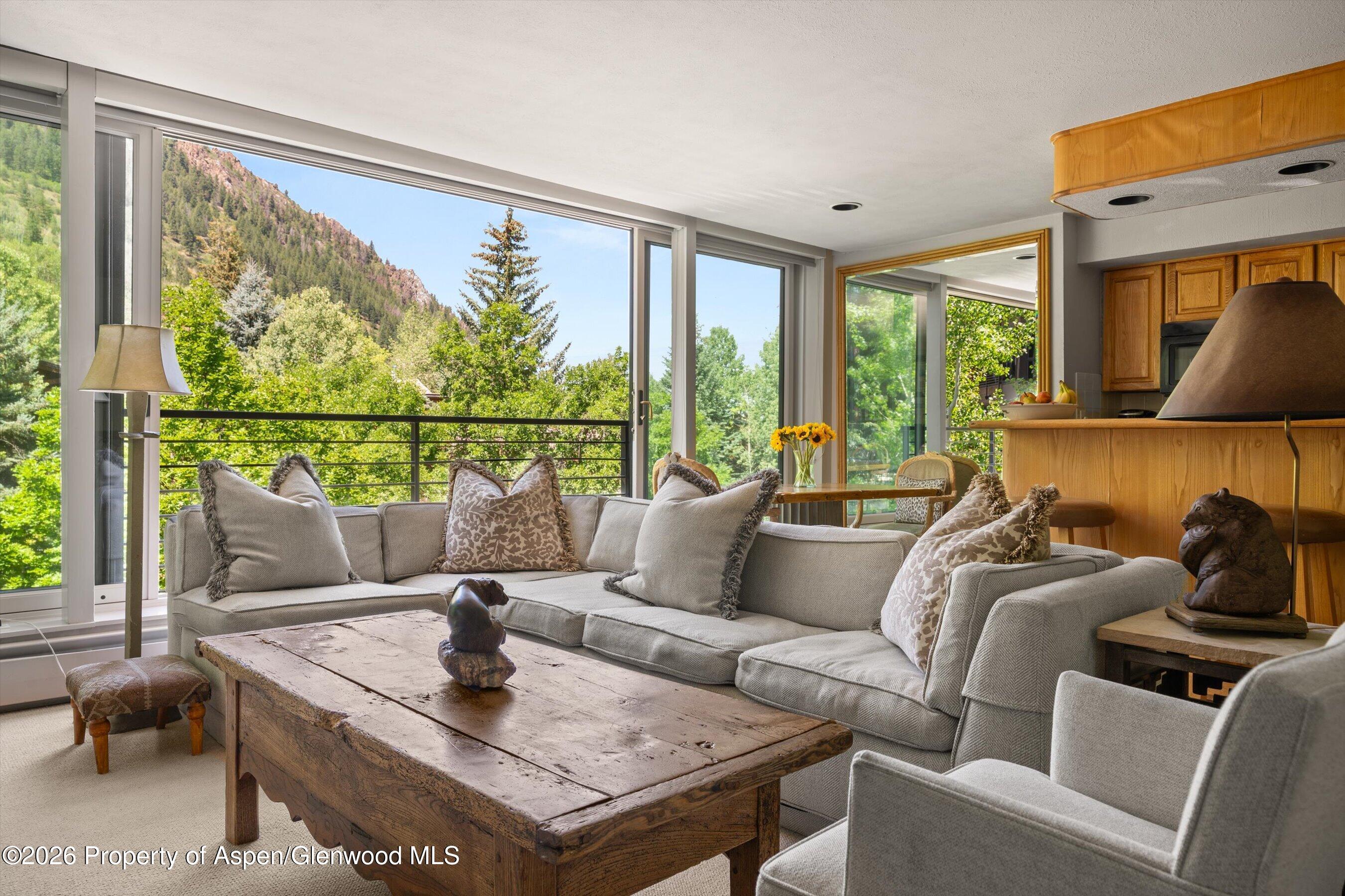 728 S Galena Street Aspen CO 81611