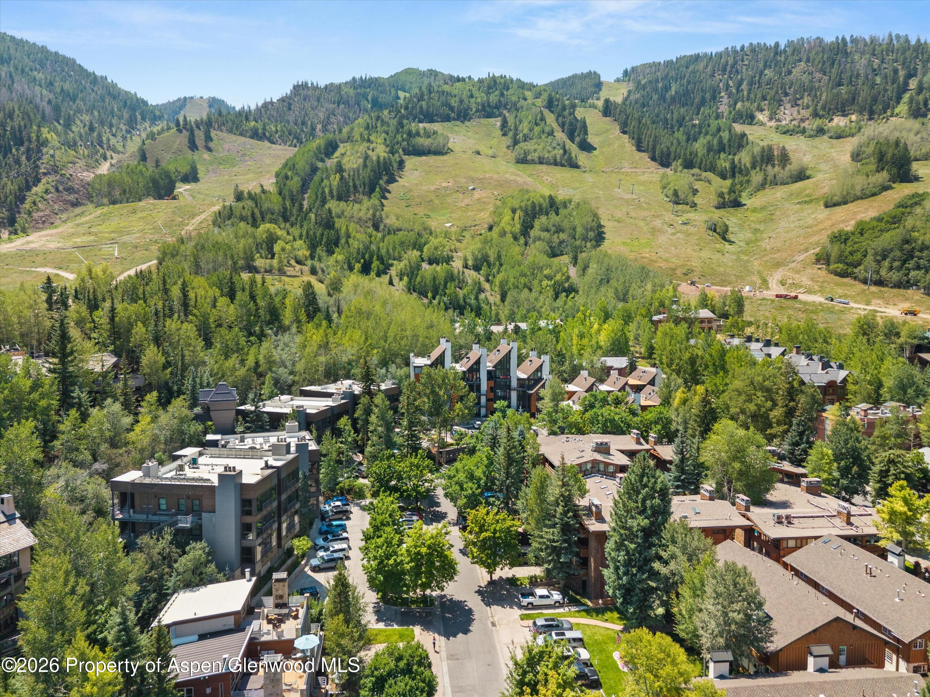 728 S Galena Street Aspen CO 81611