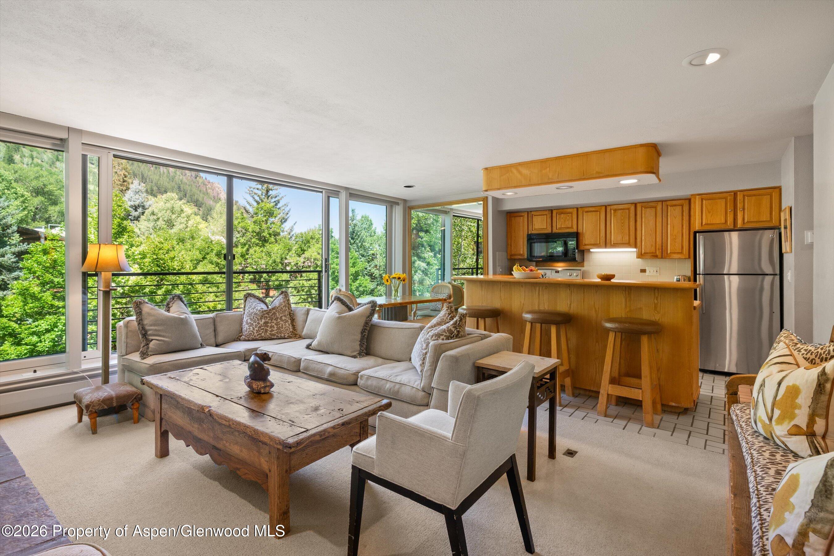 728 S Galena Street Aspen CO 81611