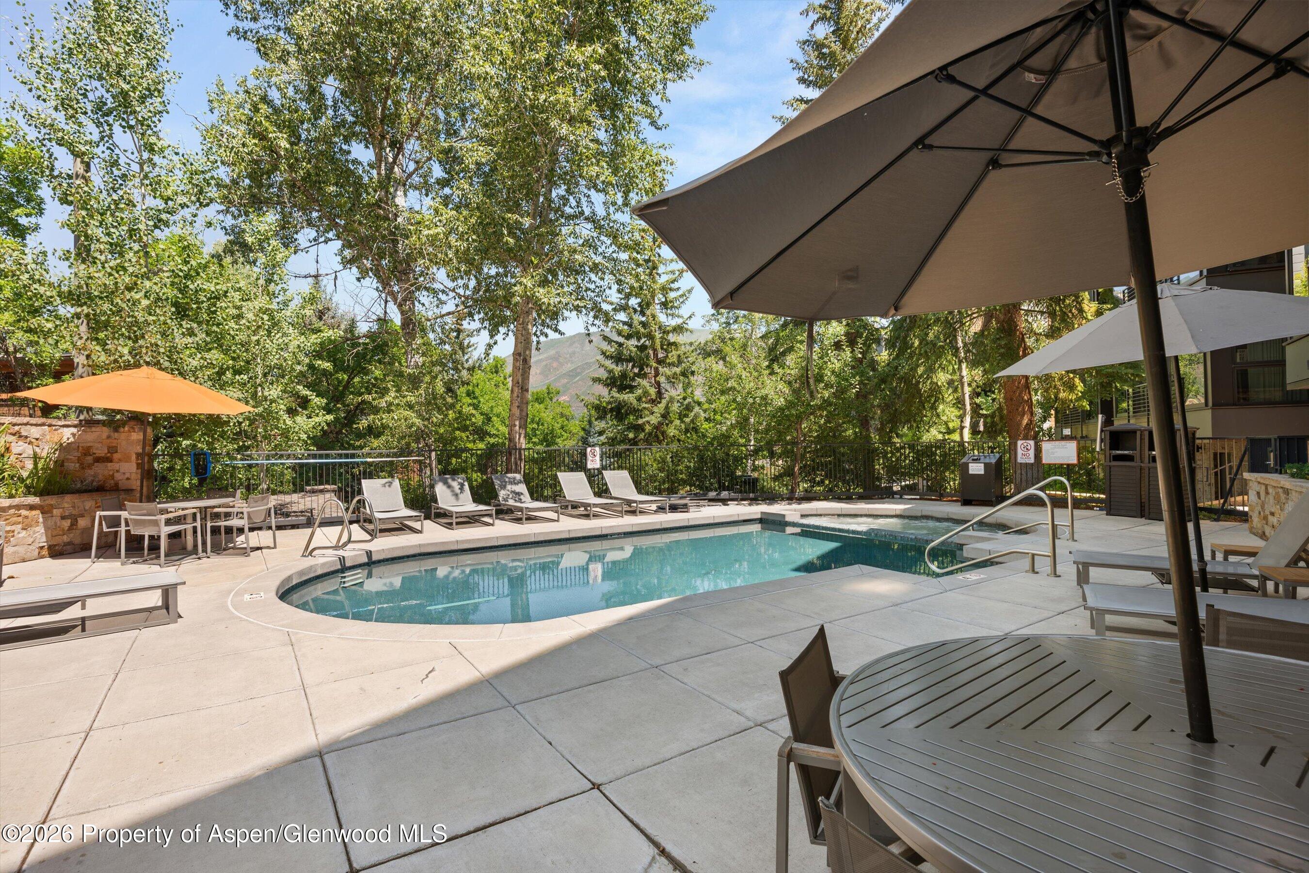 728 S Galena Street Aspen CO 81611