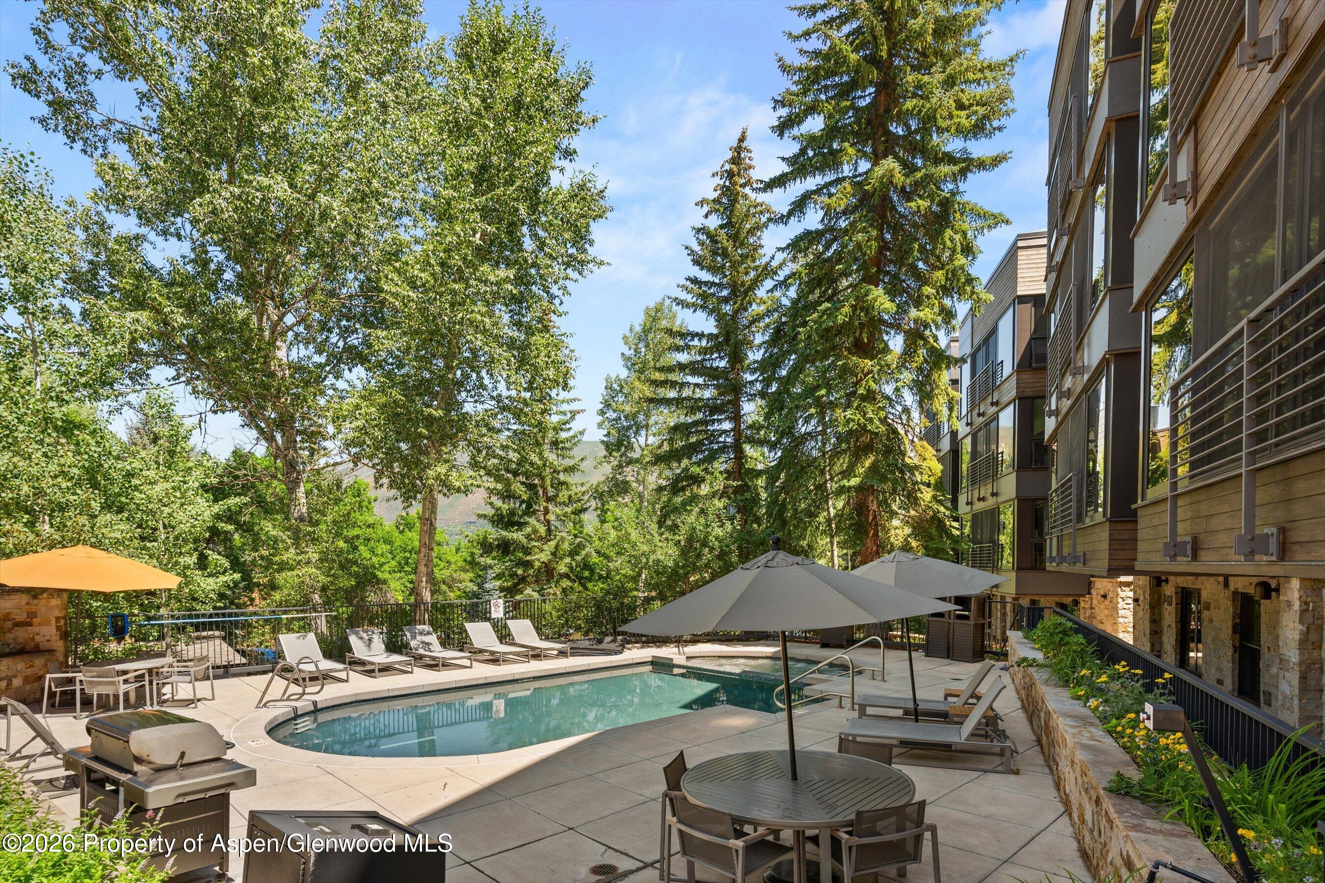728 S Galena Street Aspen CO 81611