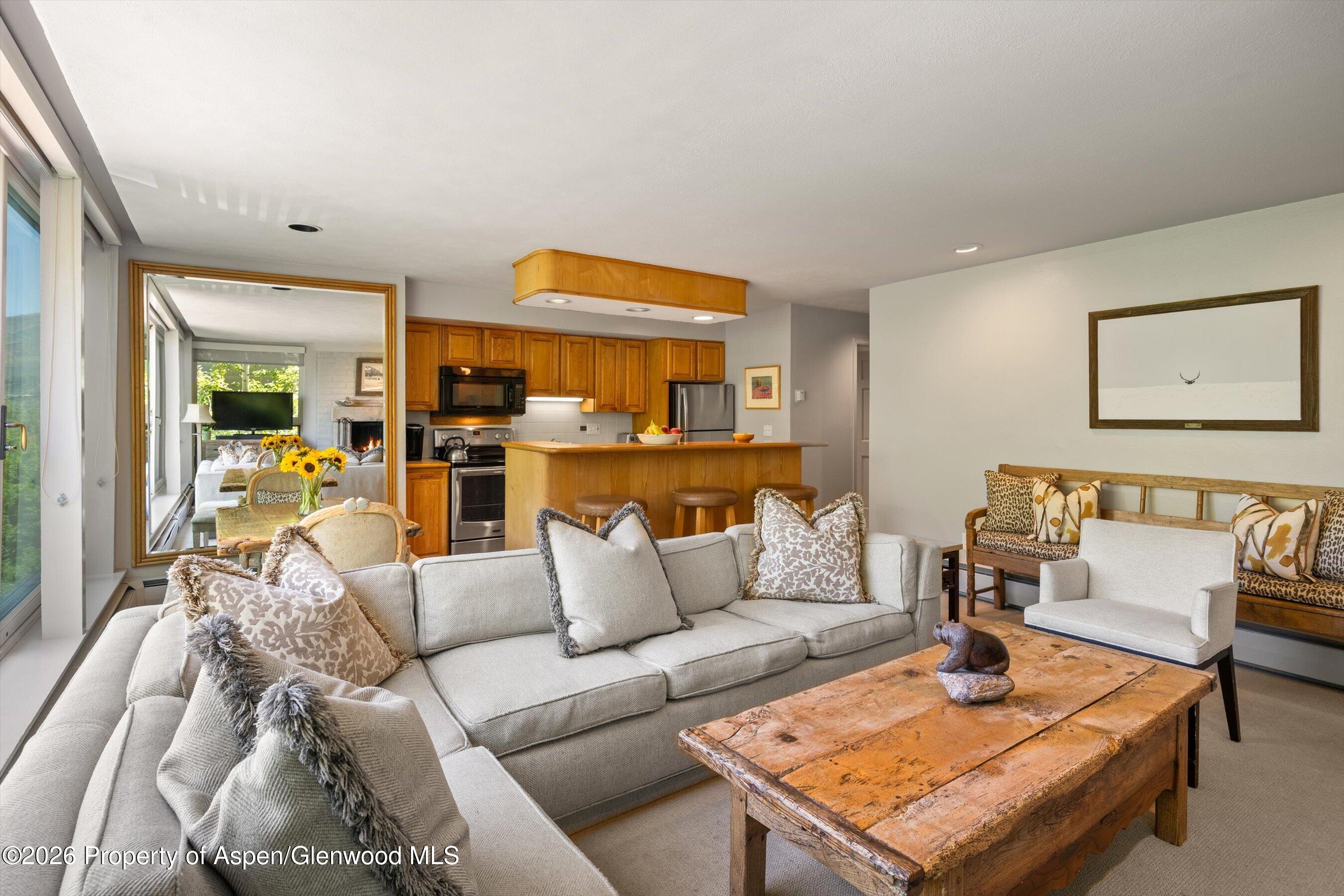 728 S Galena Street Aspen CO 81611