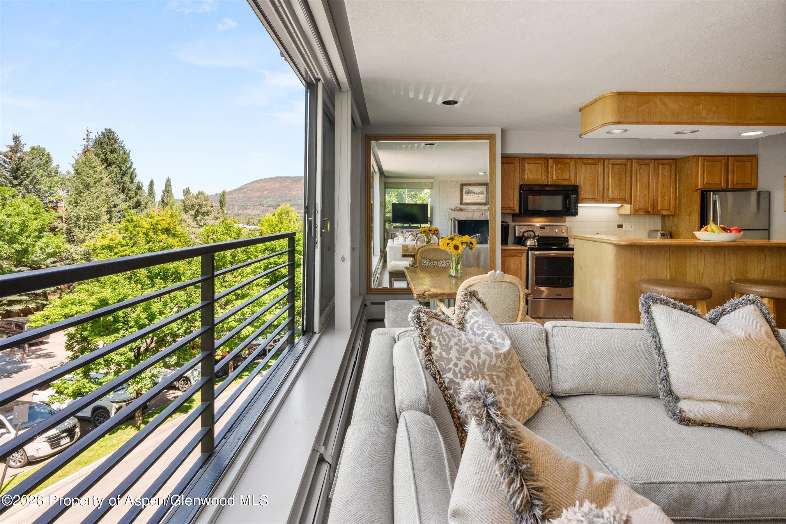 728 S Galena Street Aspen CO 81611