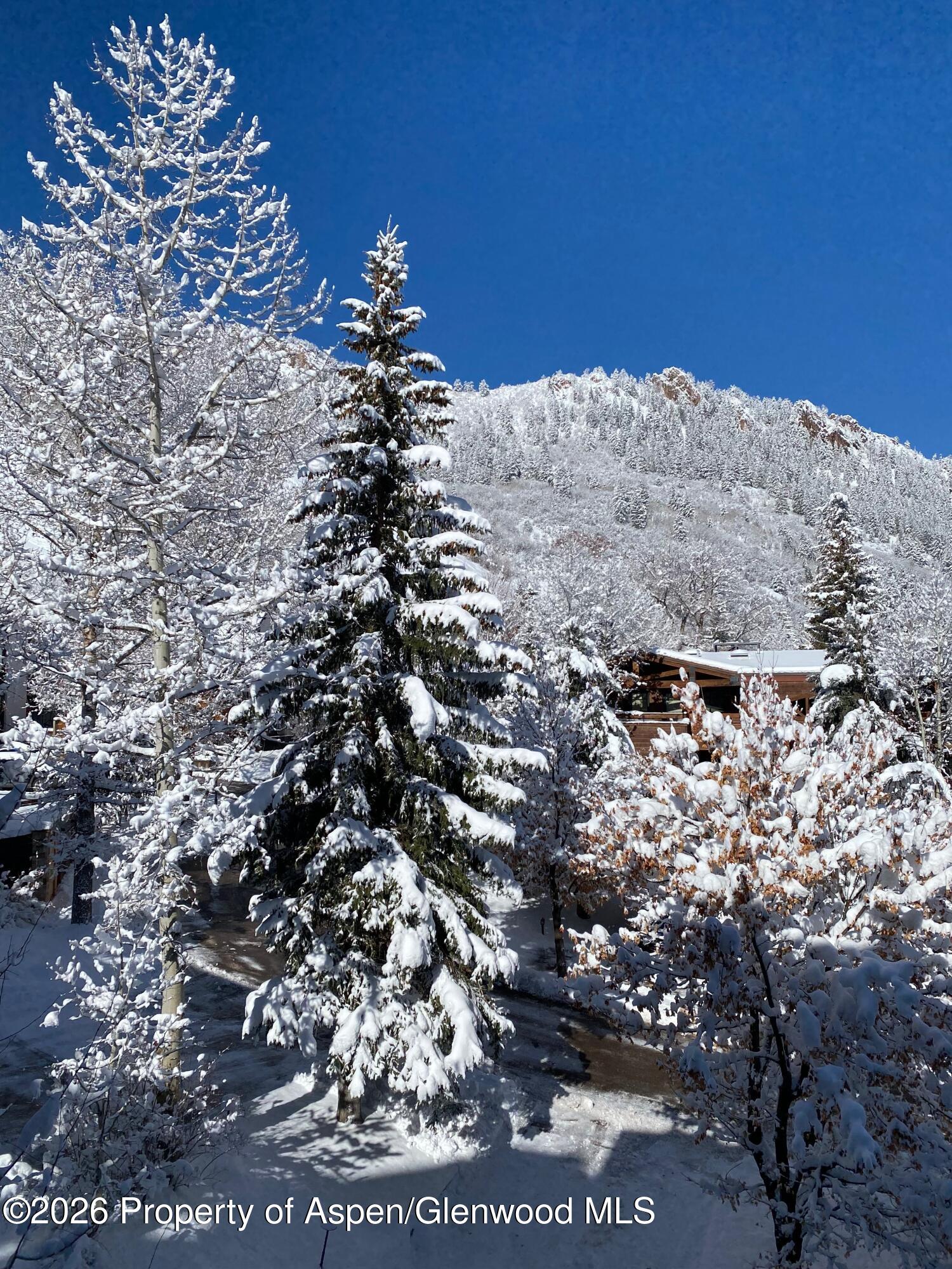 728 S Galena Street Aspen CO 81611