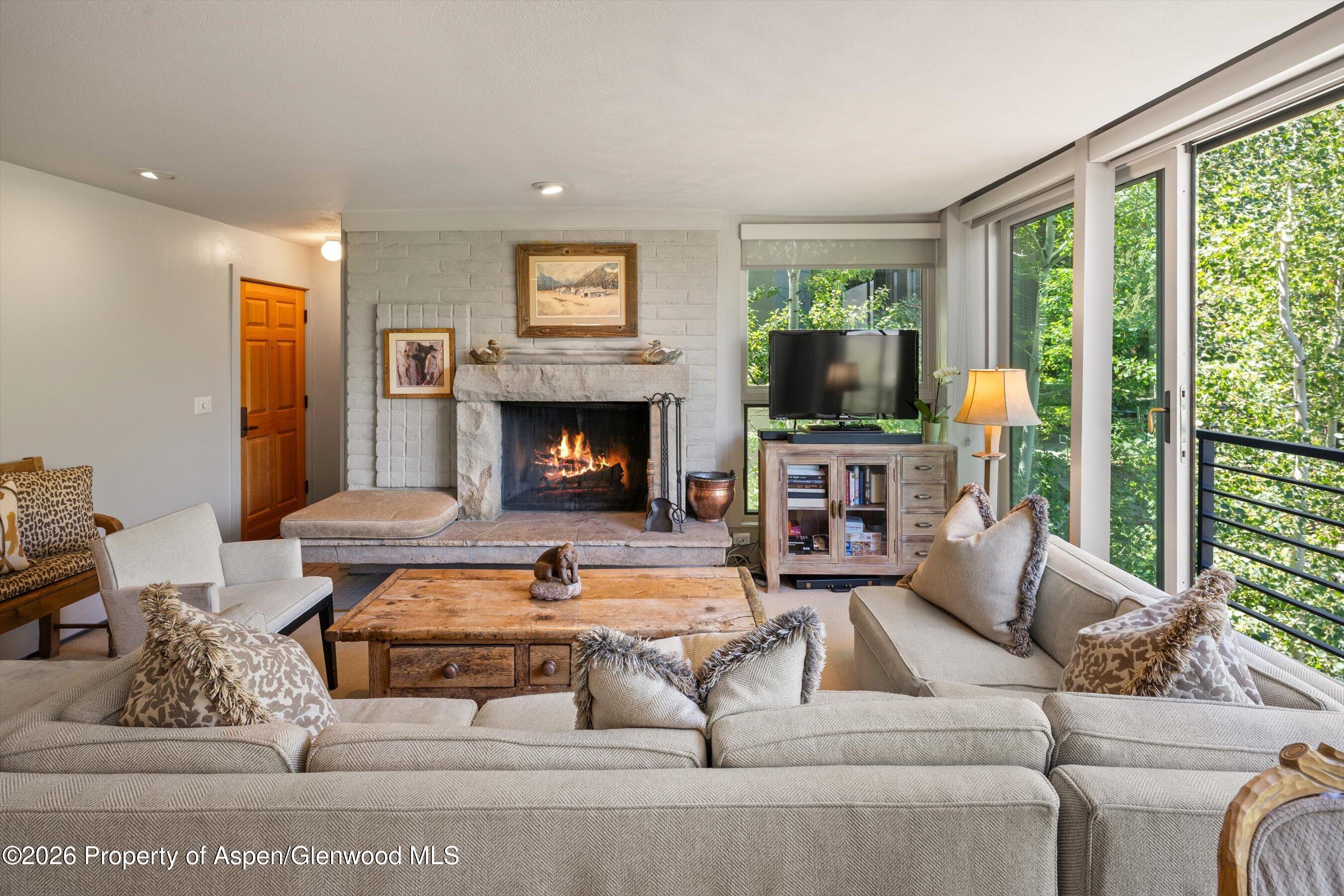 728 S Galena Street Aspen CO 81611