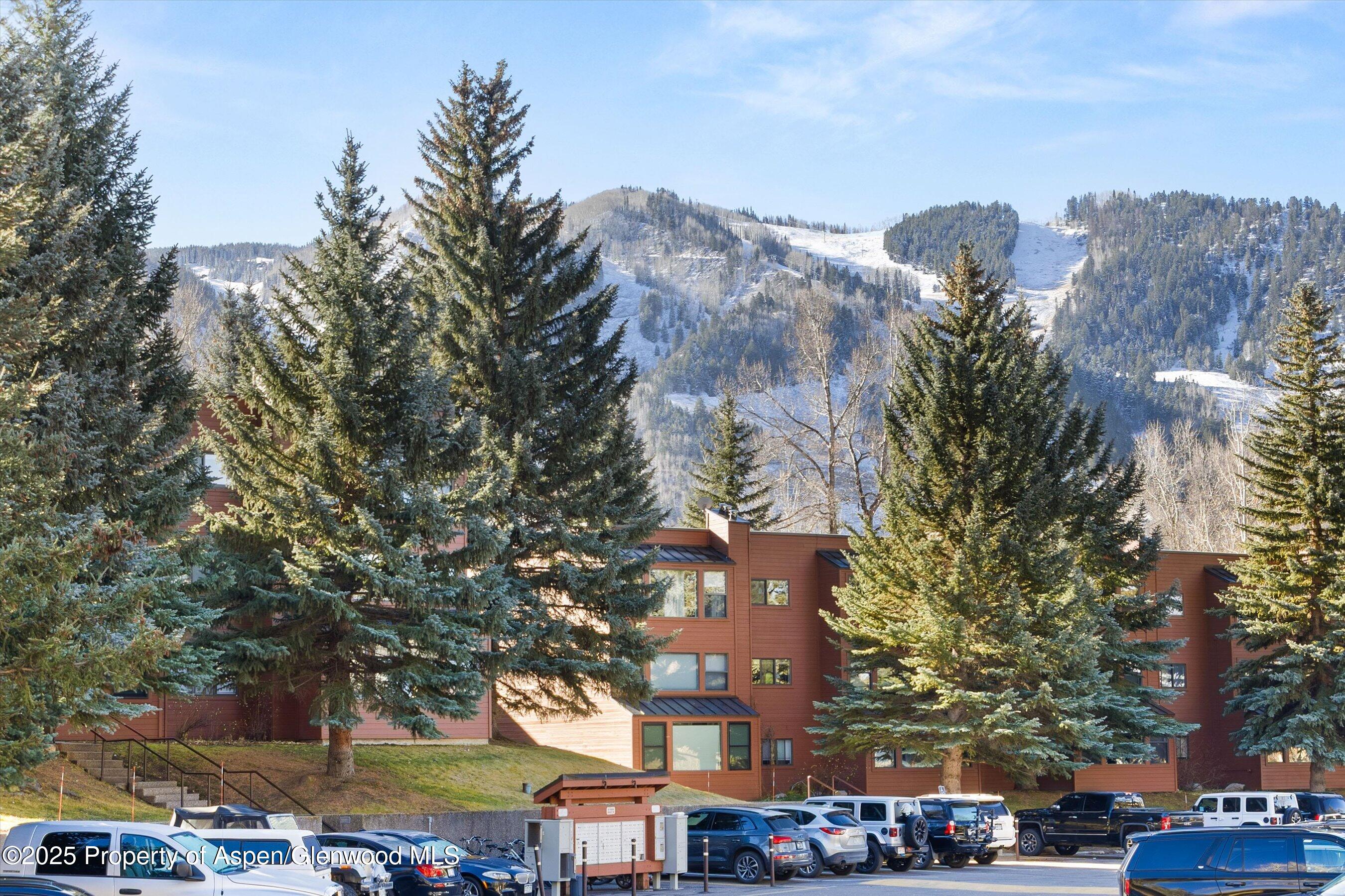 1041 Vine Street Aspen CO 81611