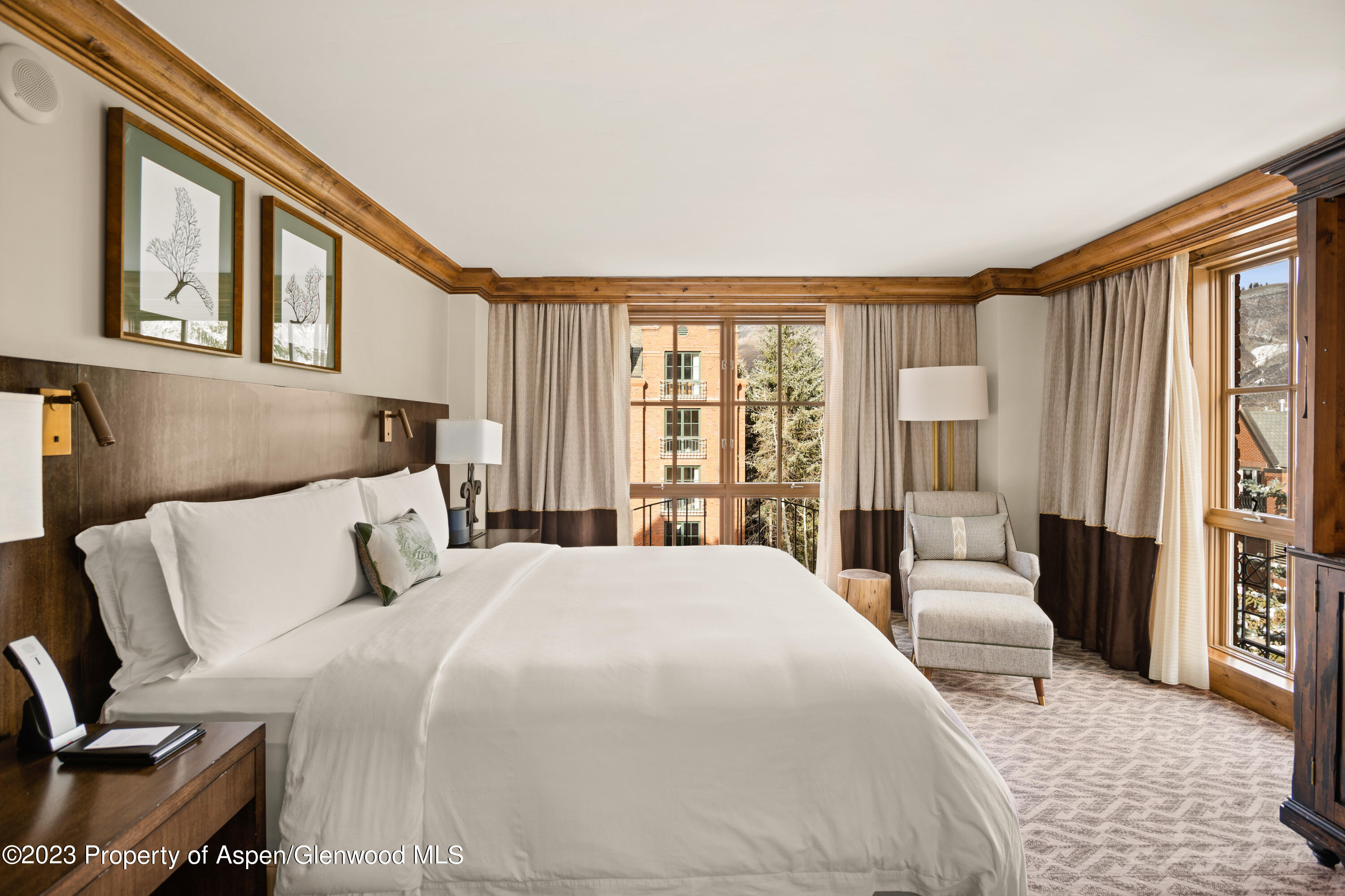 315 E Dean Street Aspen CO 81611