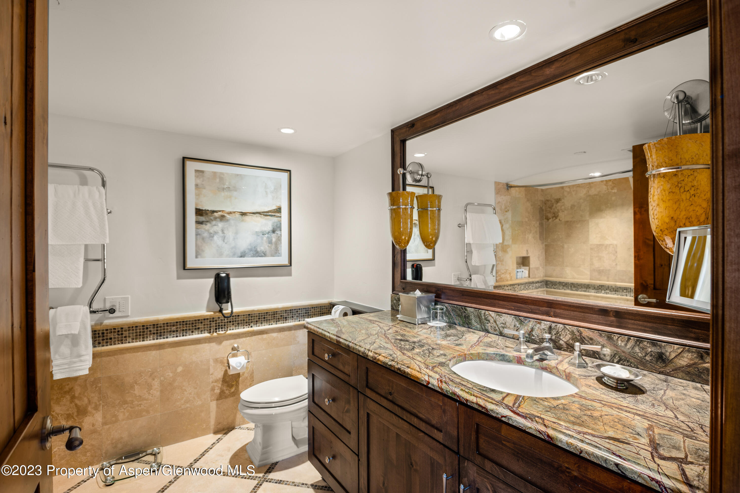 315 E Dean Street Aspen CO 81611