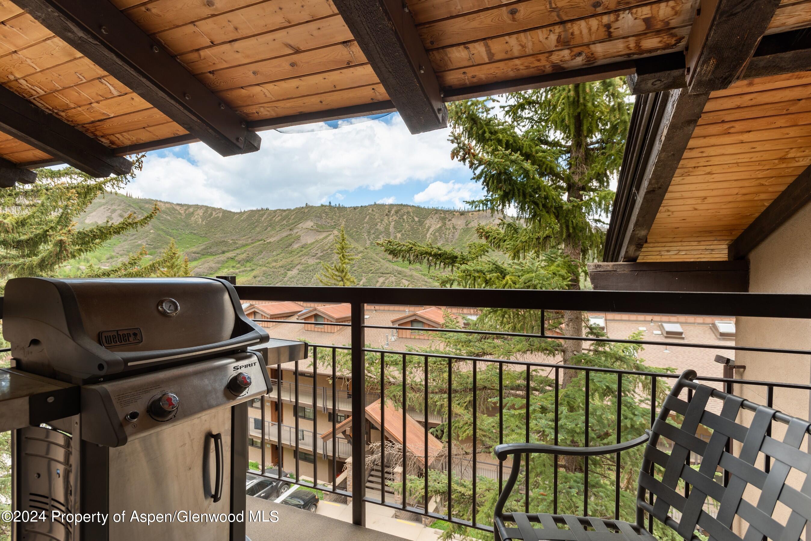 400 Wood Road Snowmass Village CO 81615