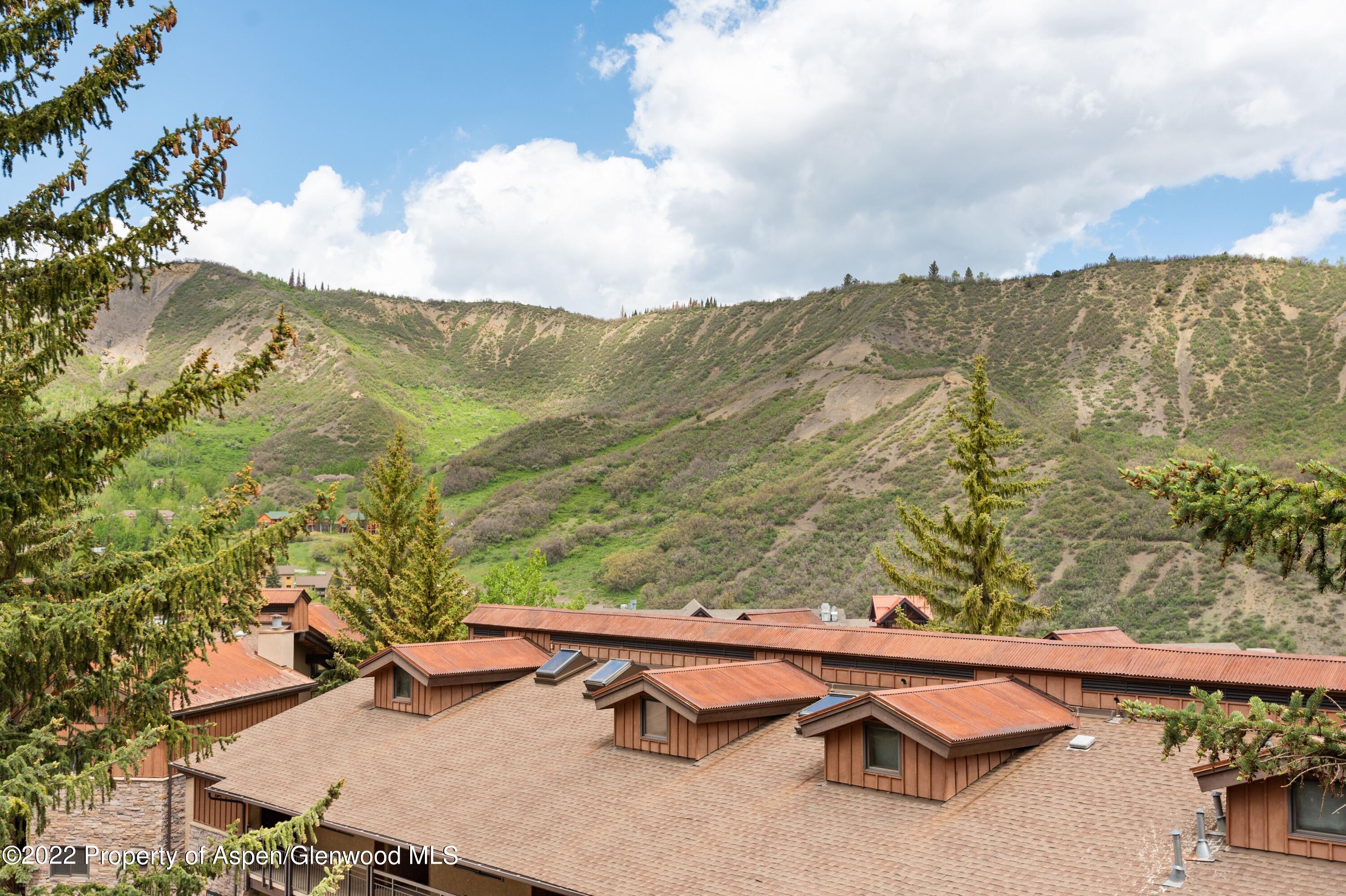 400 Wood Road Snowmass Village CO 81615