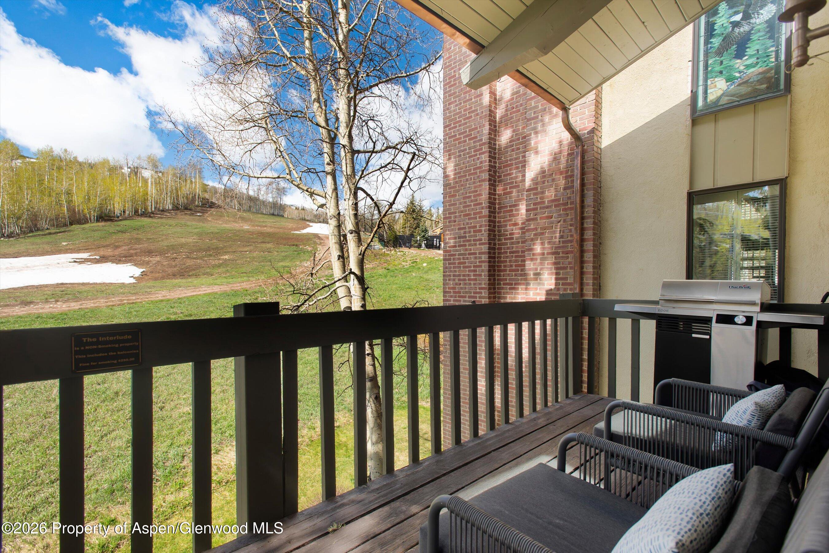 70 Gallun Lane Snowmass Village CO 81615