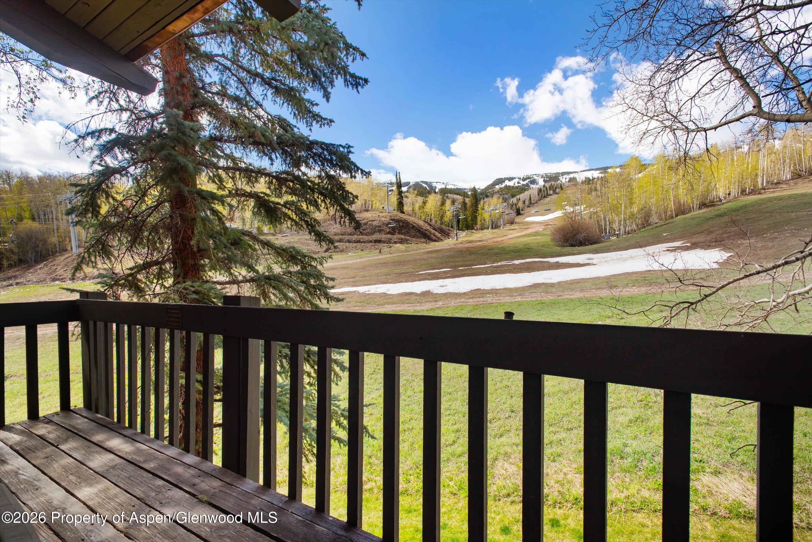 70 Gallun Lane Snowmass Village CO 81615
