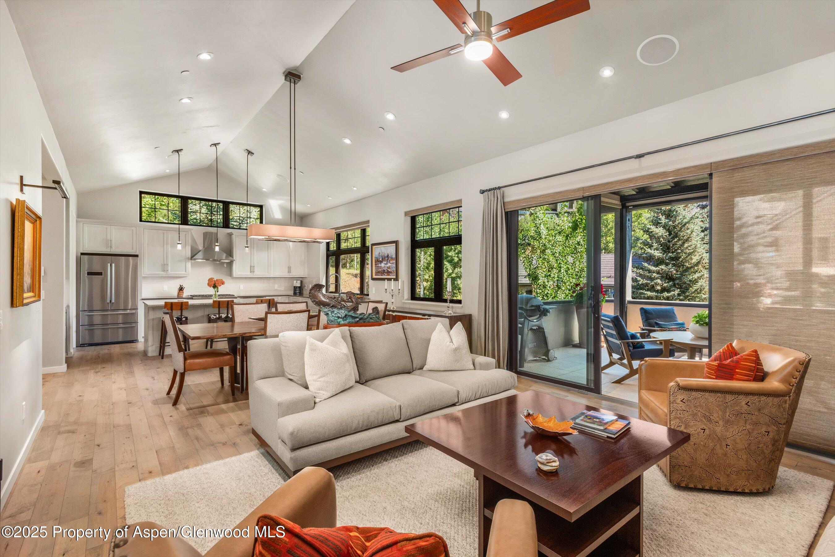 102 Wild Spring Lane Basalt CO 81621