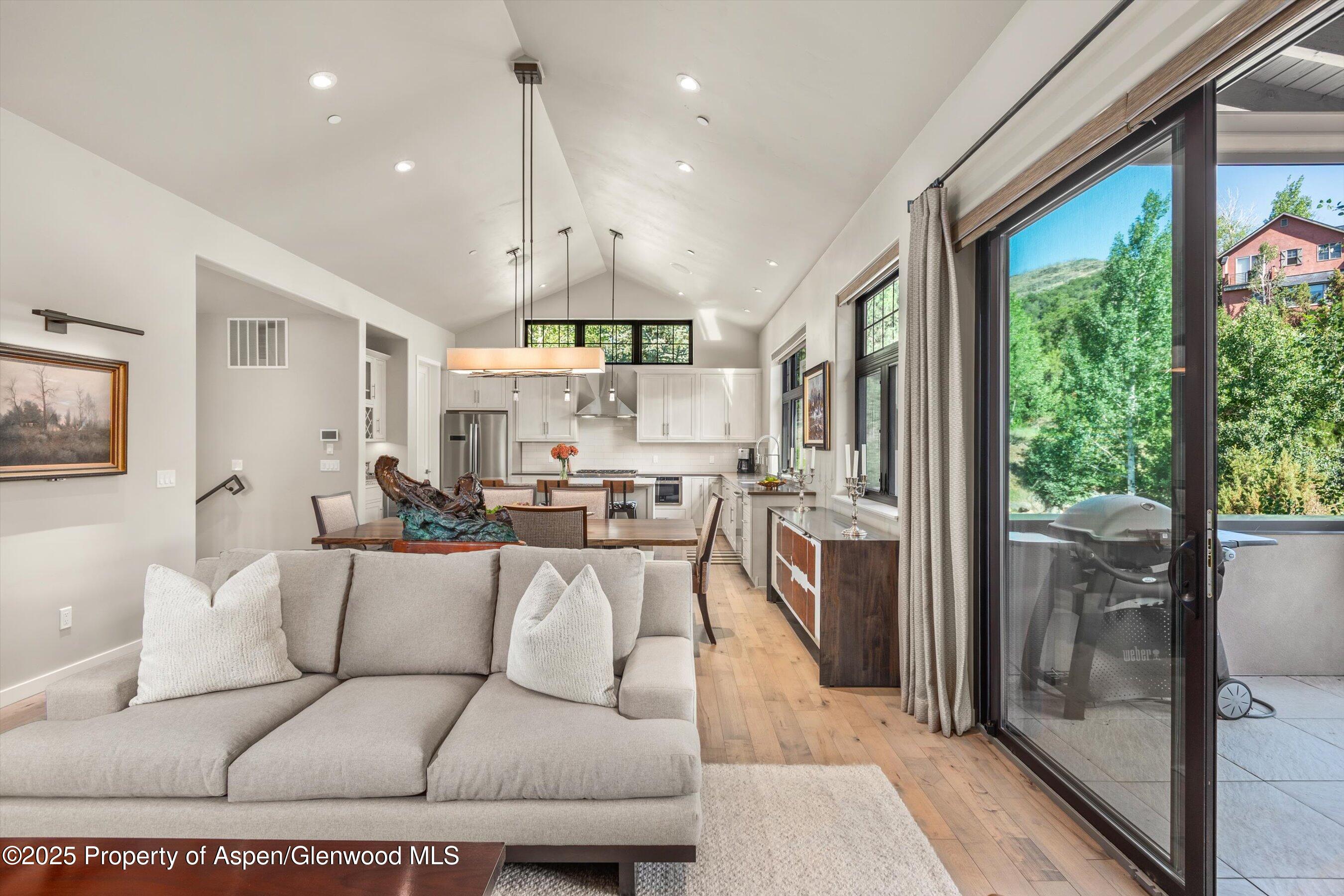 102 Wild Spring Lane Basalt CO 81621