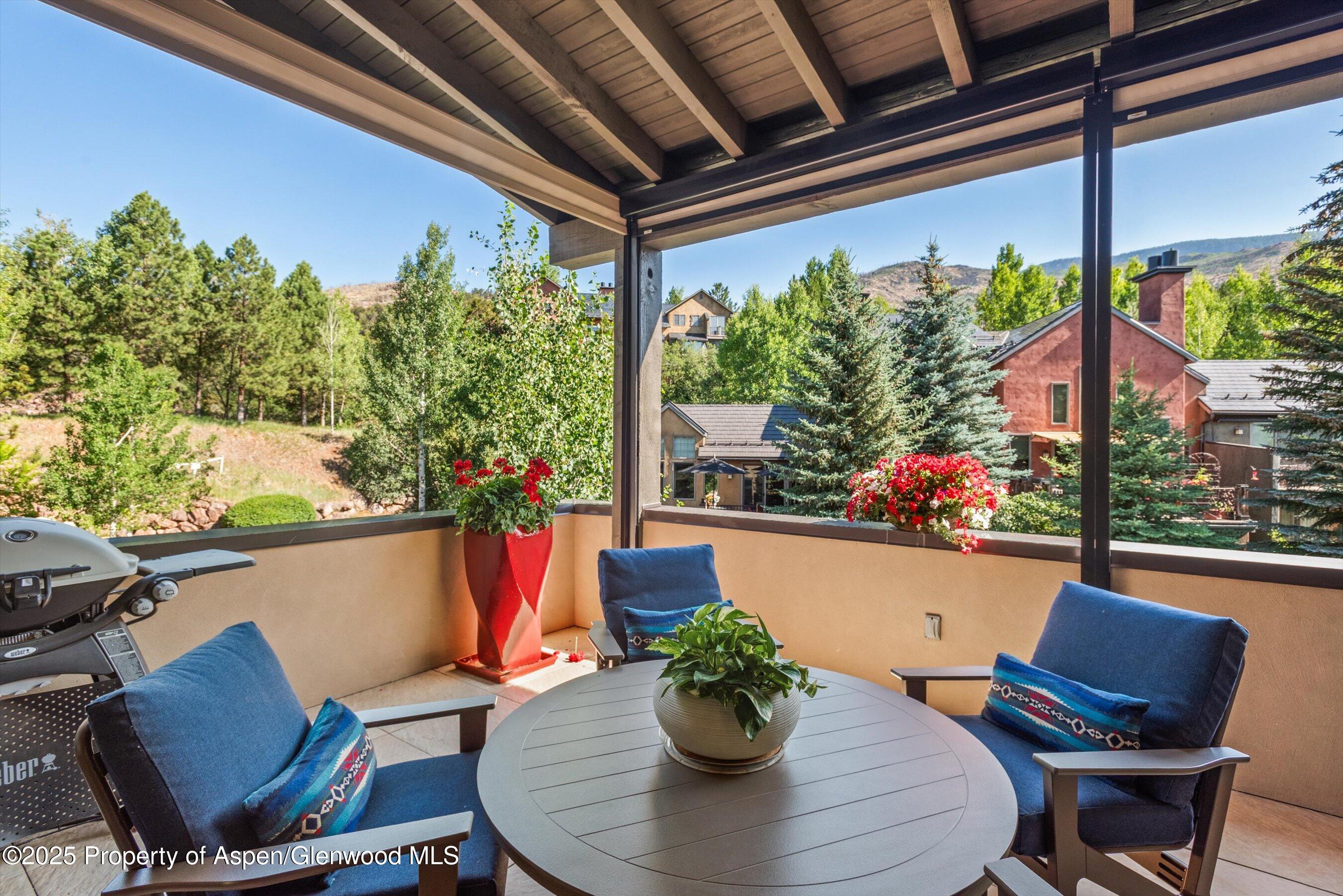 102 Wild Spring Lane Basalt CO 81621