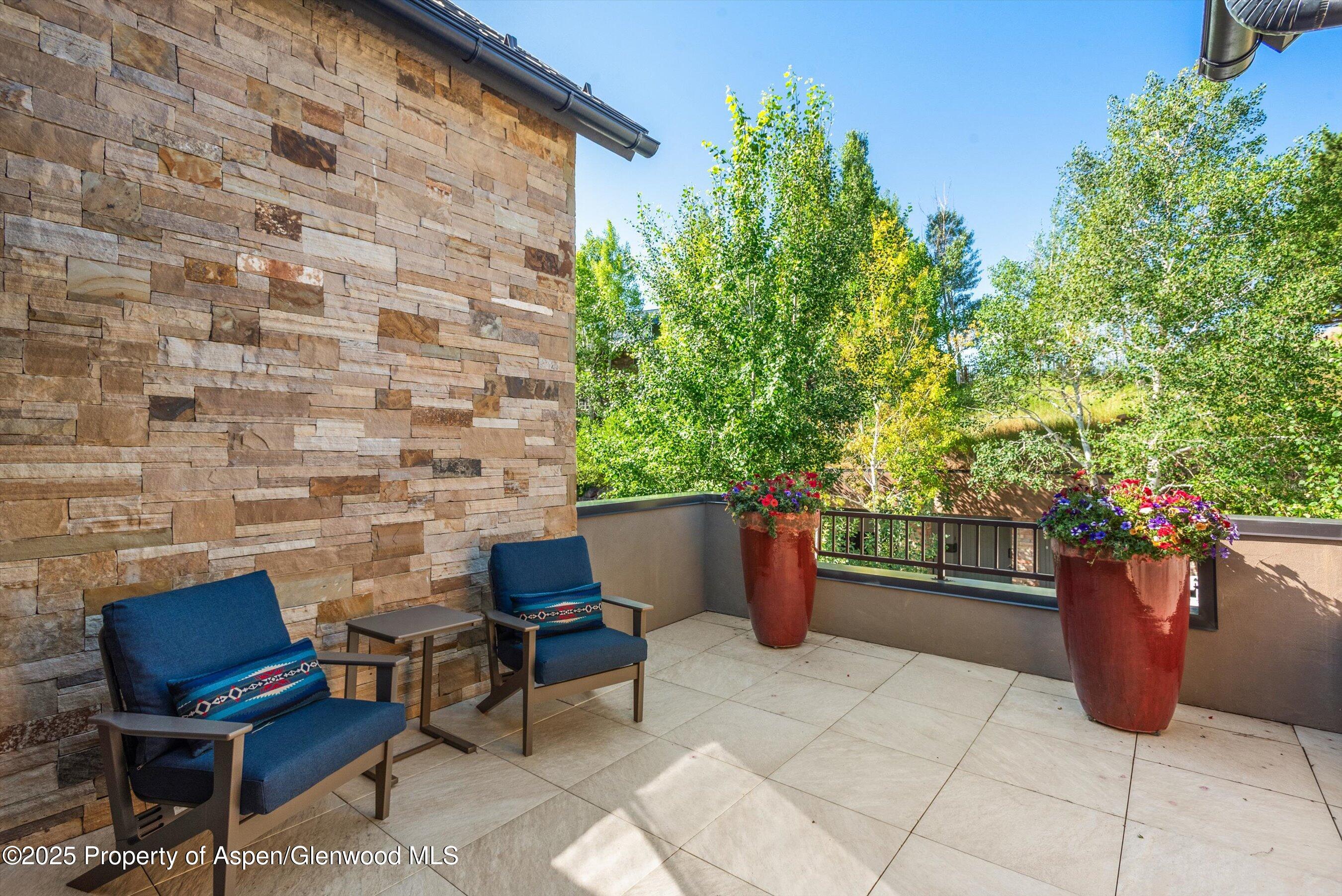 102 Wild Spring Lane Basalt CO 81621