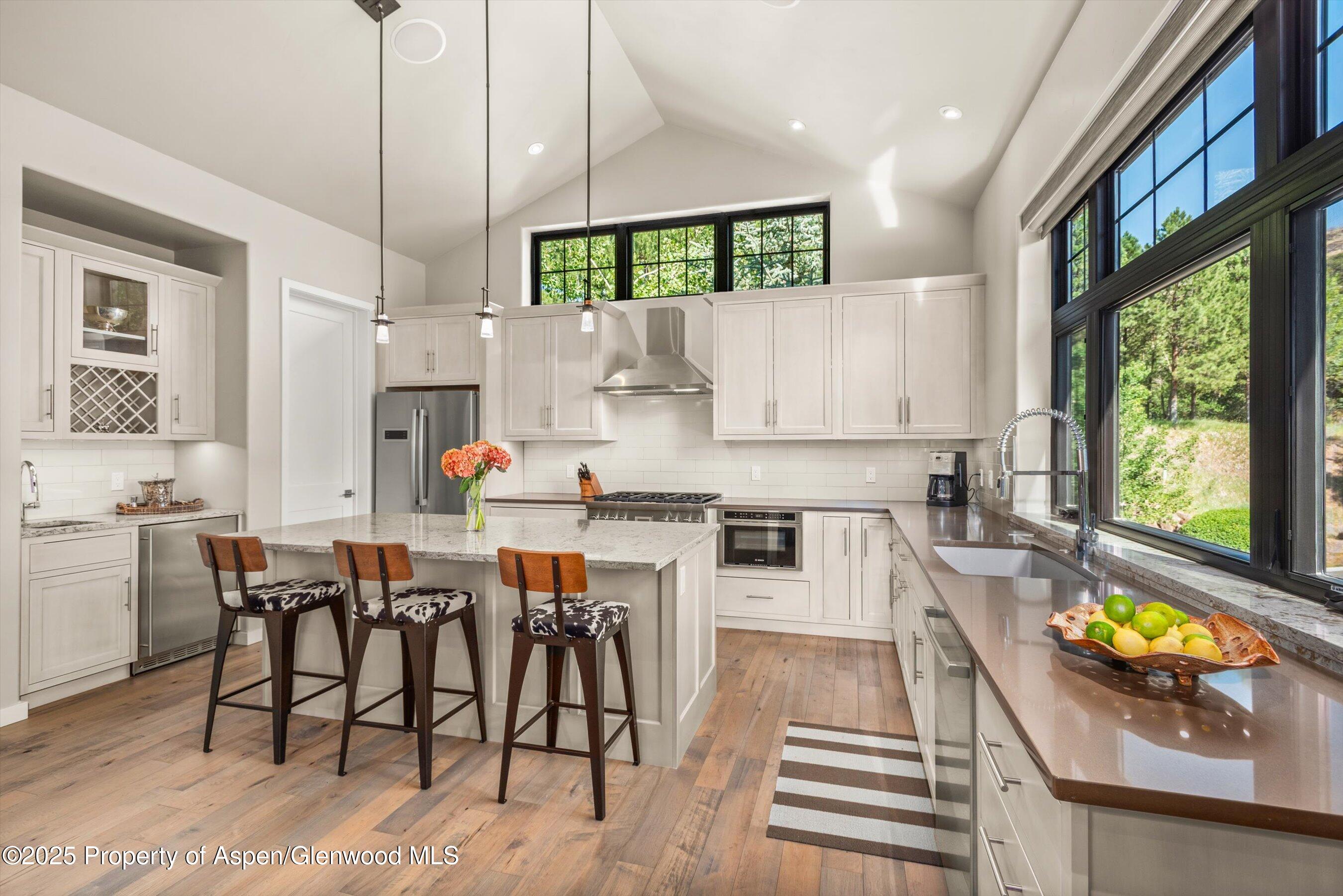 102 Wild Spring Lane Basalt CO 81621