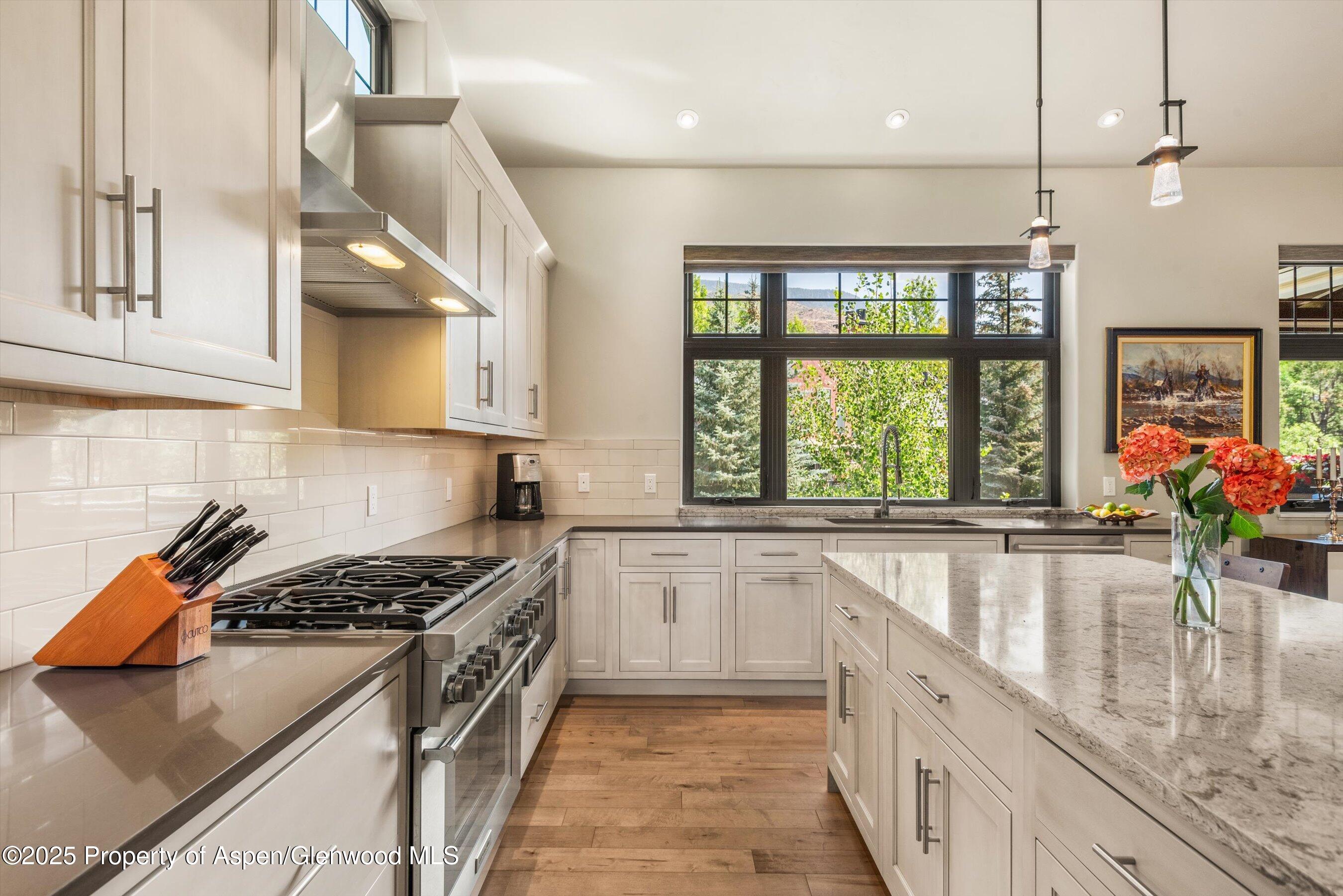 102 Wild Spring Lane Basalt CO 81621