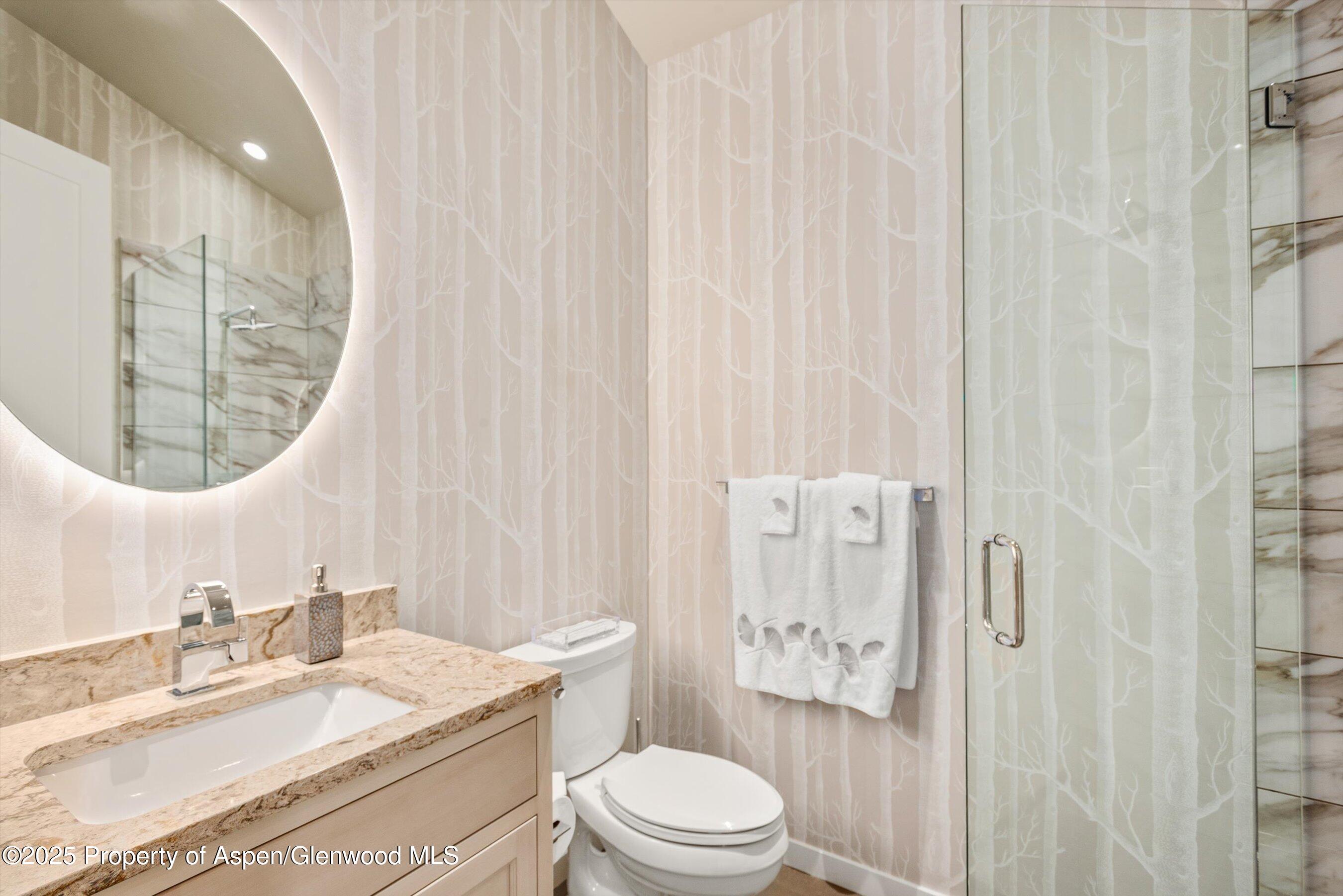 102 Wild Spring Lane Basalt CO 81621