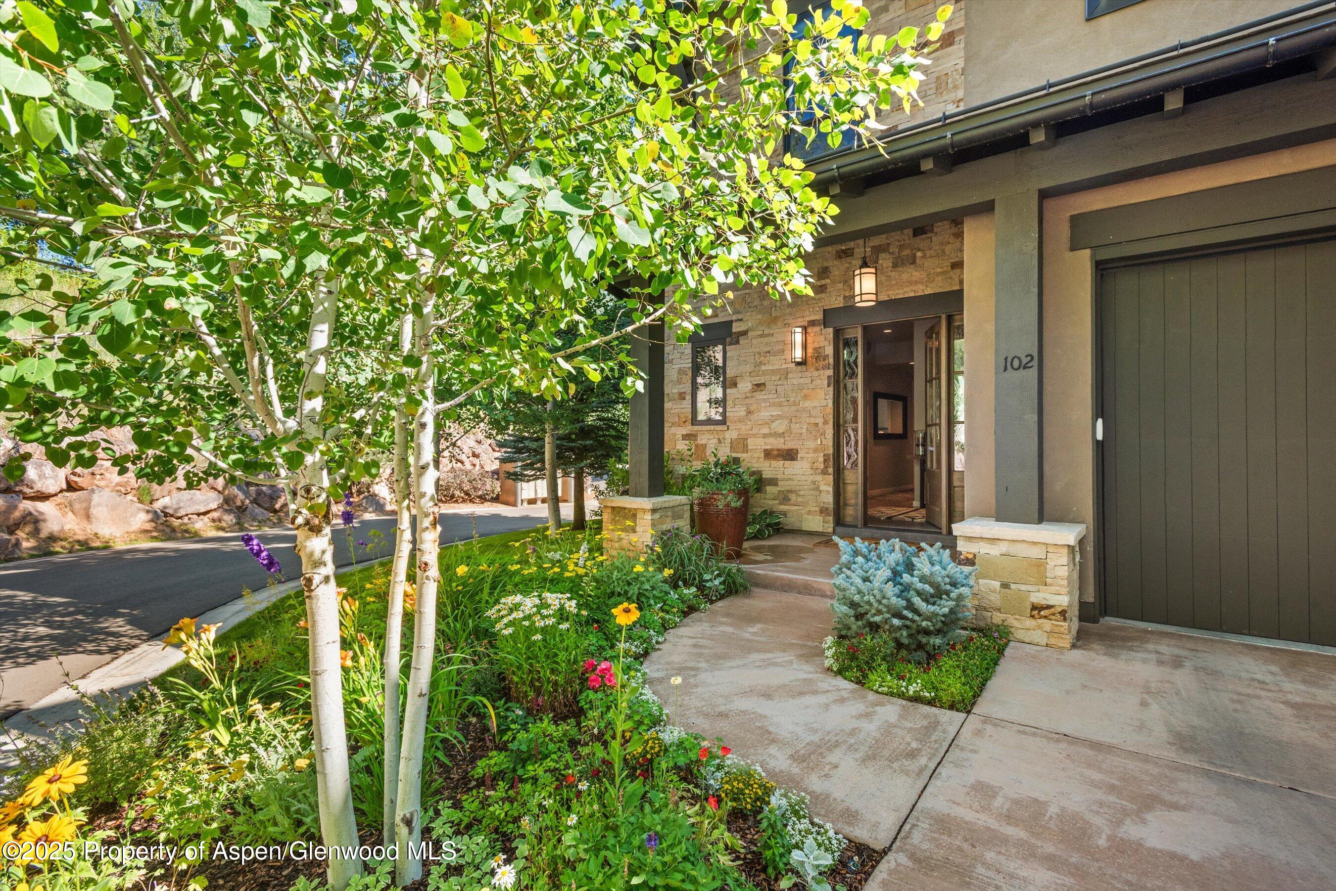 102 Wild Spring Lane Basalt CO 81621