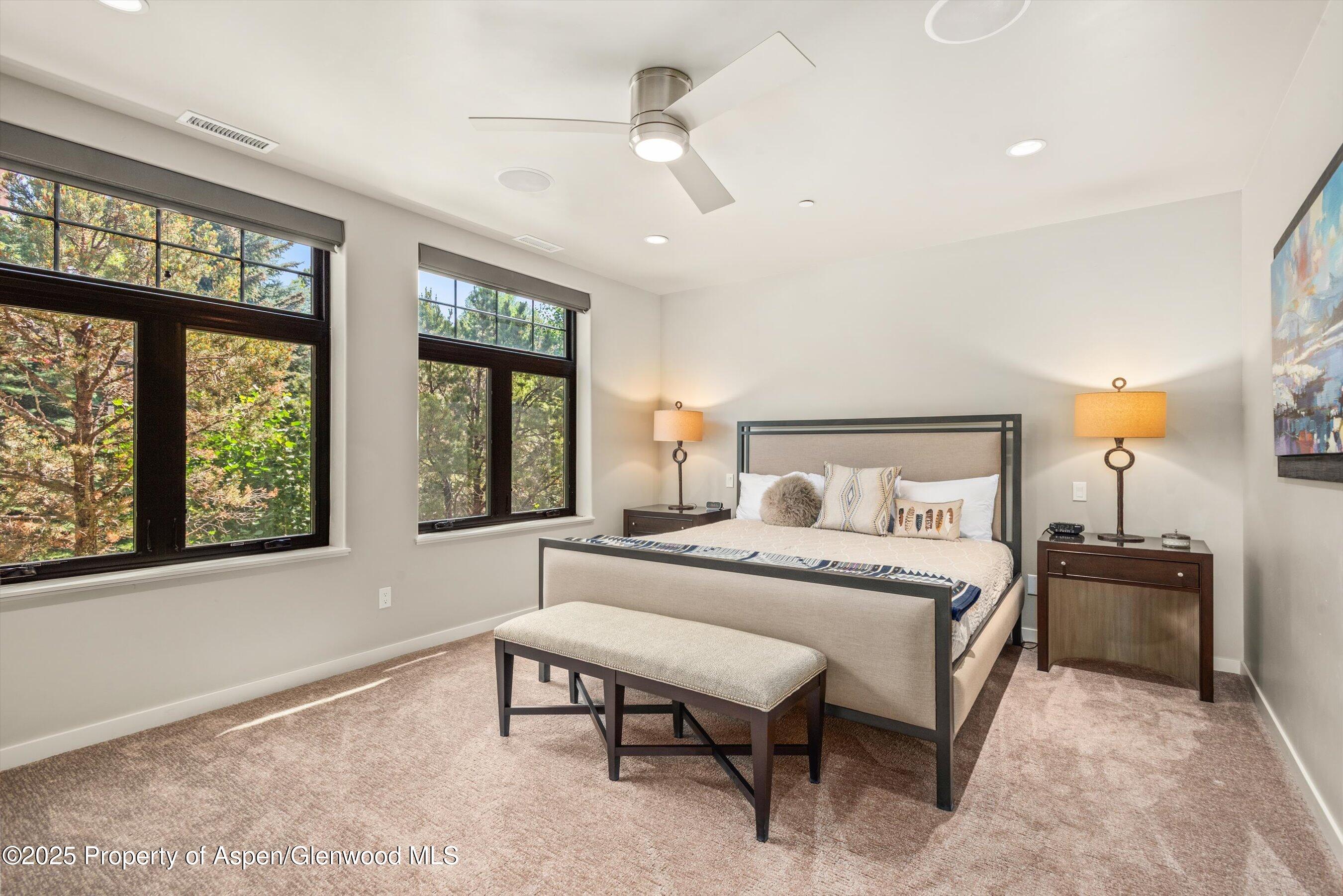 102 Wild Spring Lane Basalt CO 81621