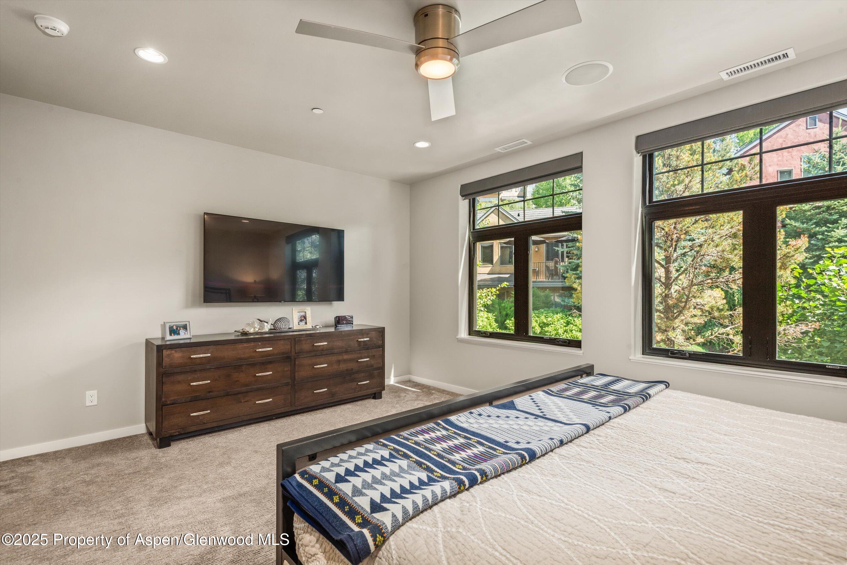 102 Wild Spring Lane Basalt CO 81621