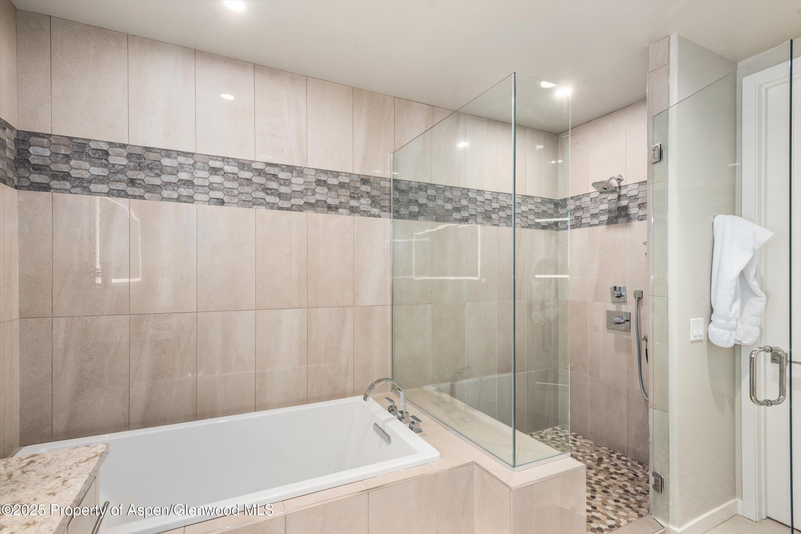 102 Wild Spring Lane Basalt CO 81621