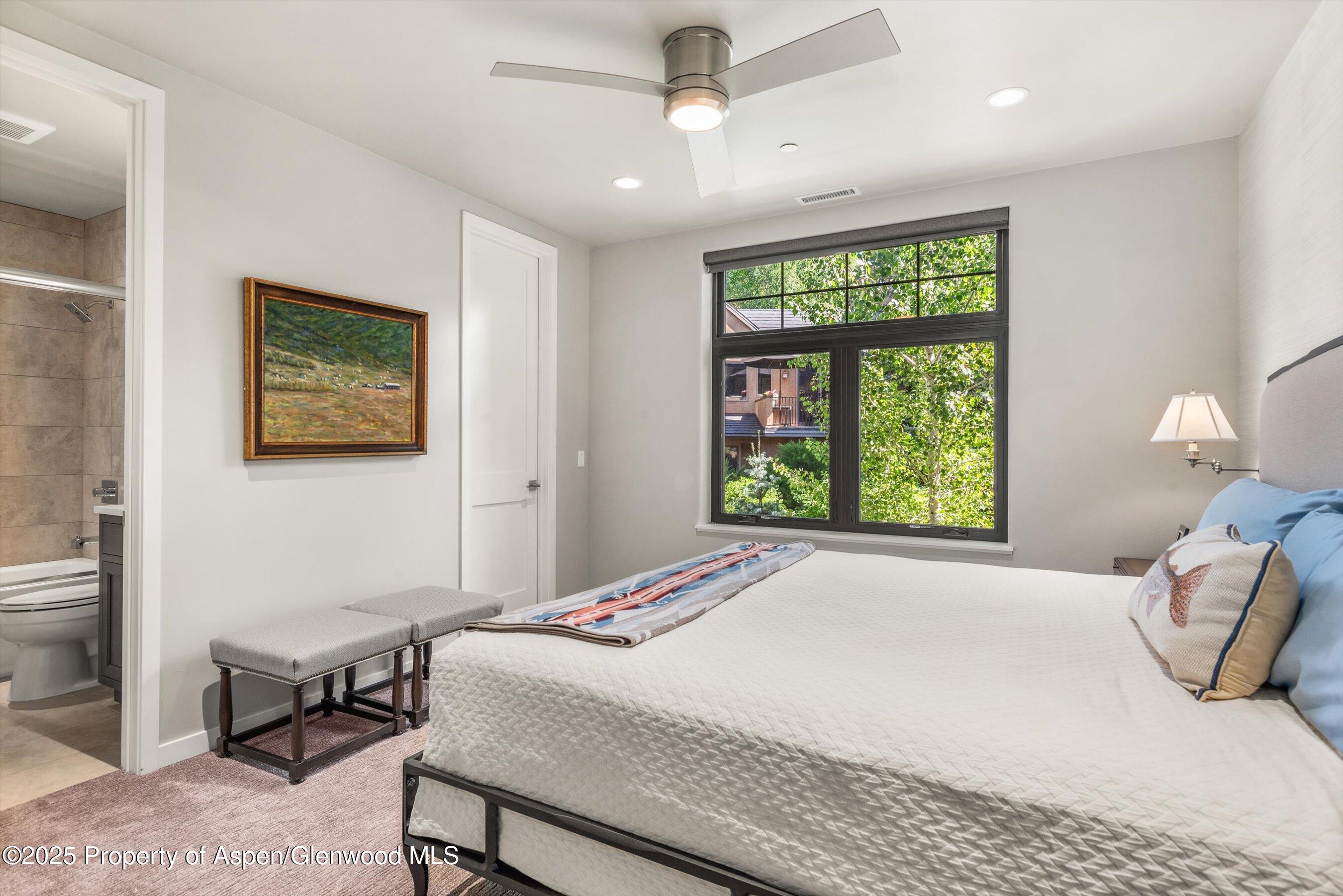 102 Wild Spring Lane Basalt CO 81621