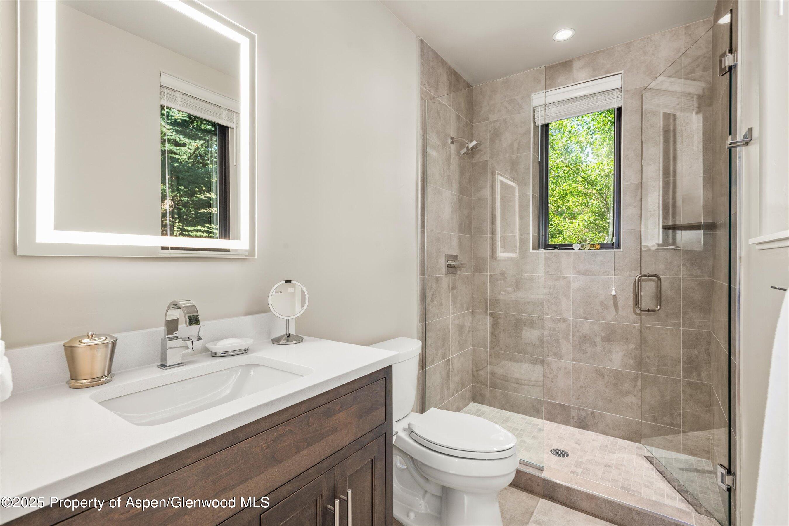 102 Wild Spring Lane Basalt CO 81621