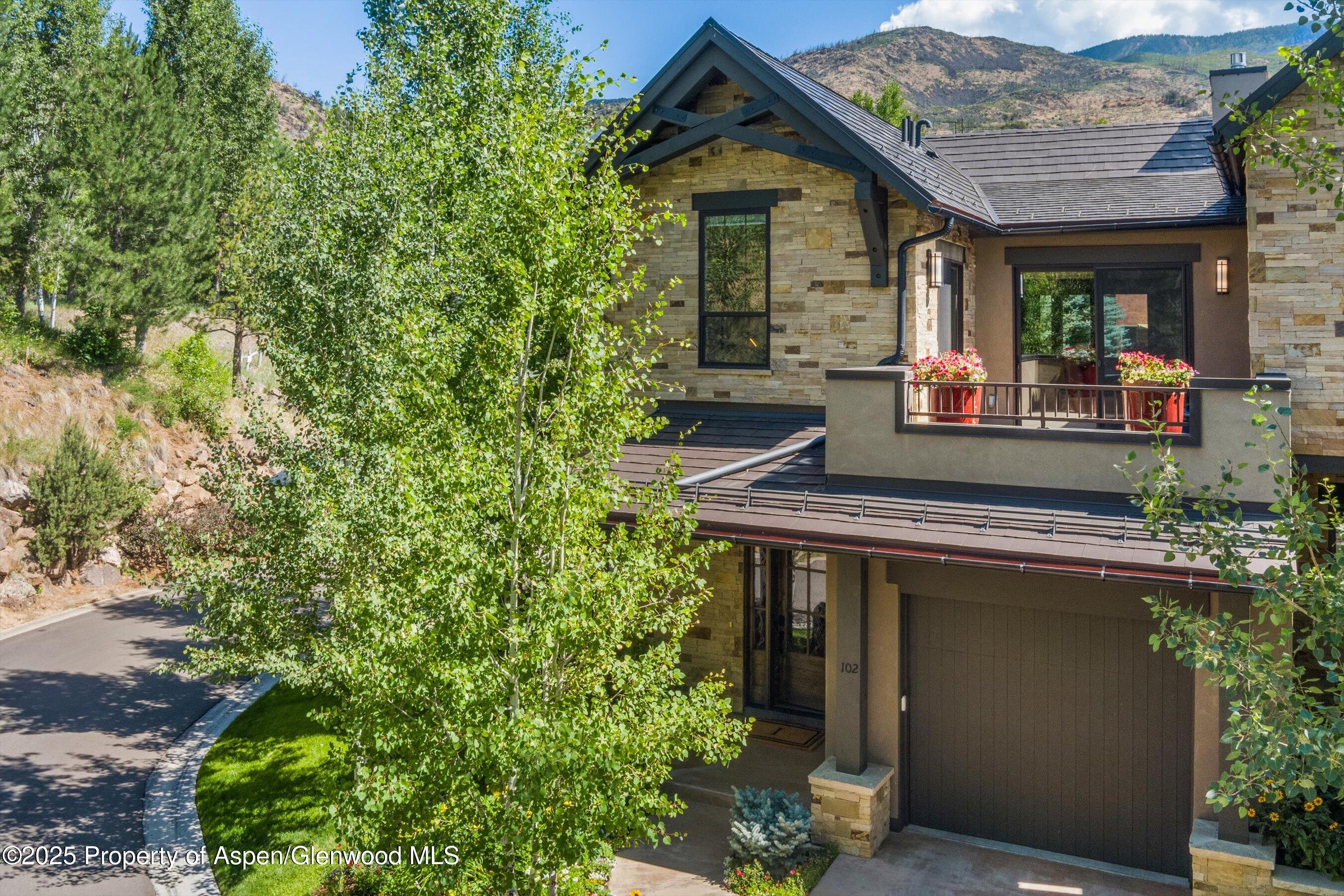 102 Wild Spring Lane Basalt CO 81621