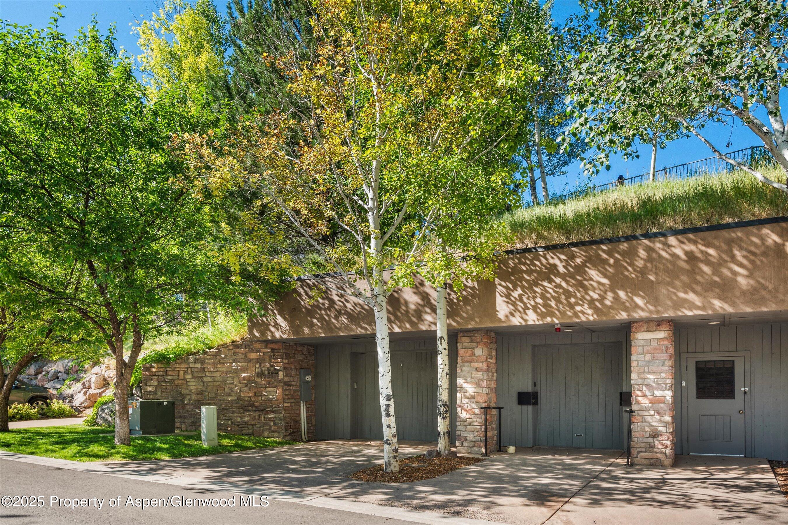 102 Wild Spring Lane Basalt CO 81621