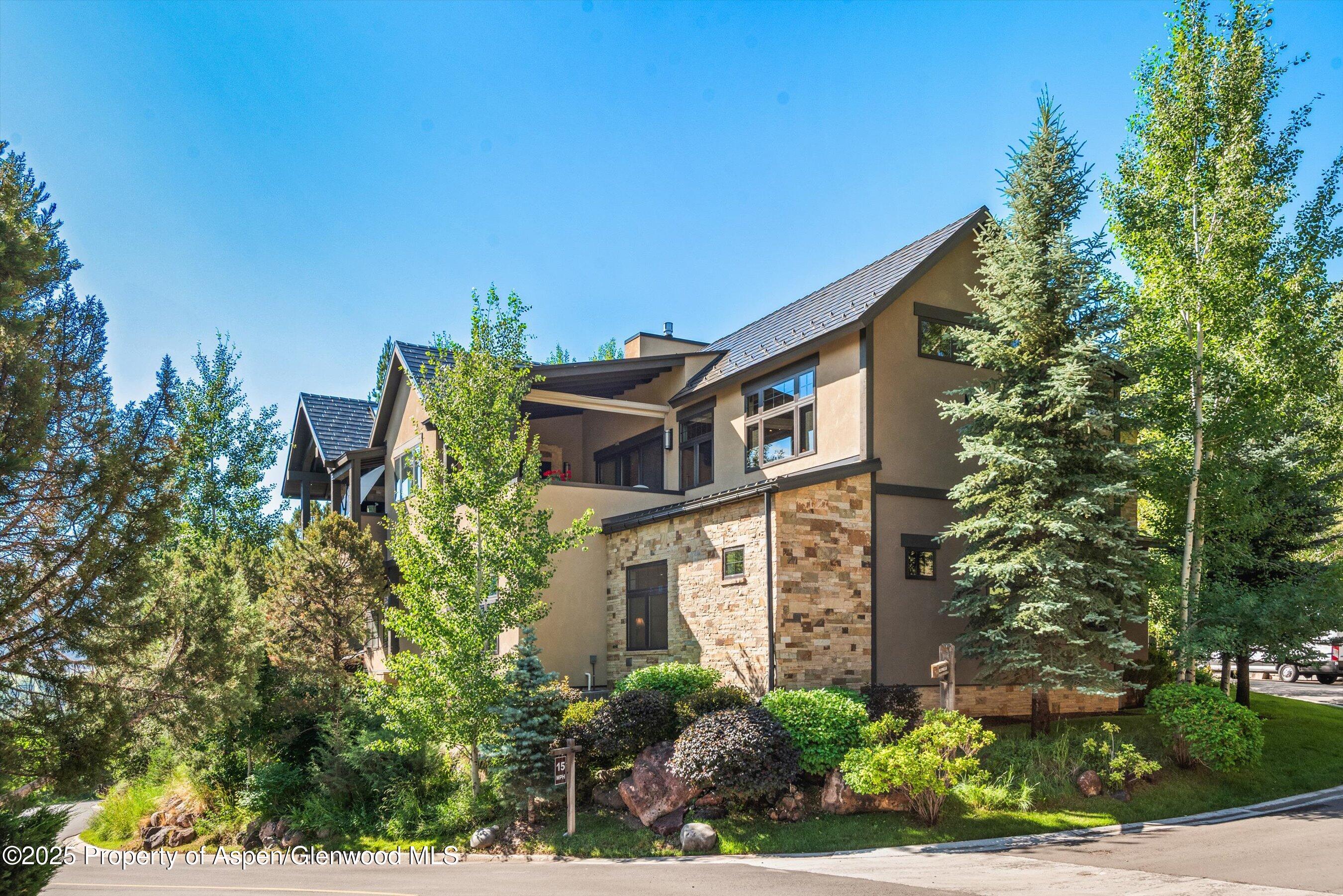 102 Wild Spring Lane Basalt CO 81621