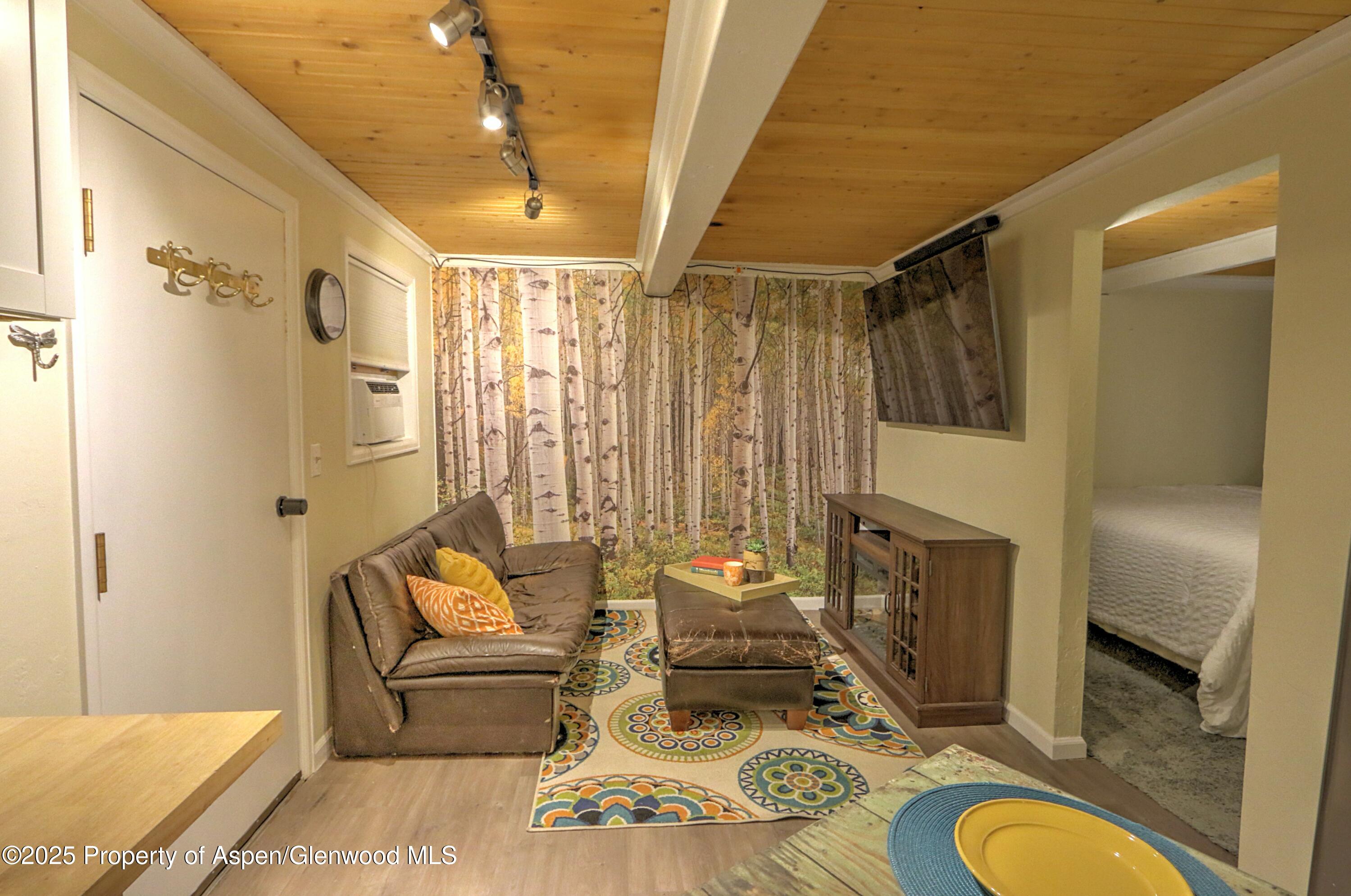 11101 County Road 117 Glenwood Springs CO 81601